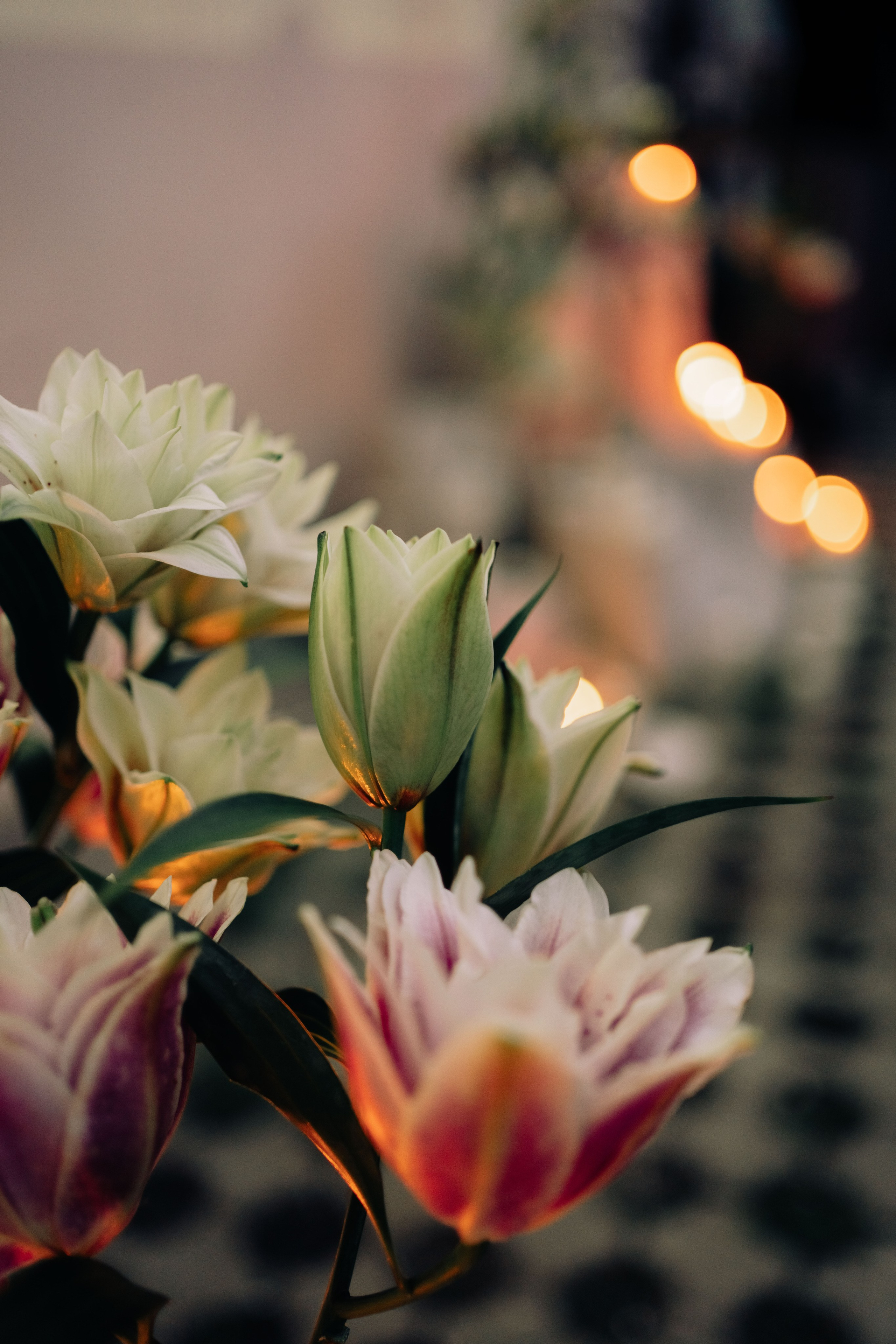 Казань глазами инженера. Винный вечер / 2025. Саша Копылов, фотограф в Казани