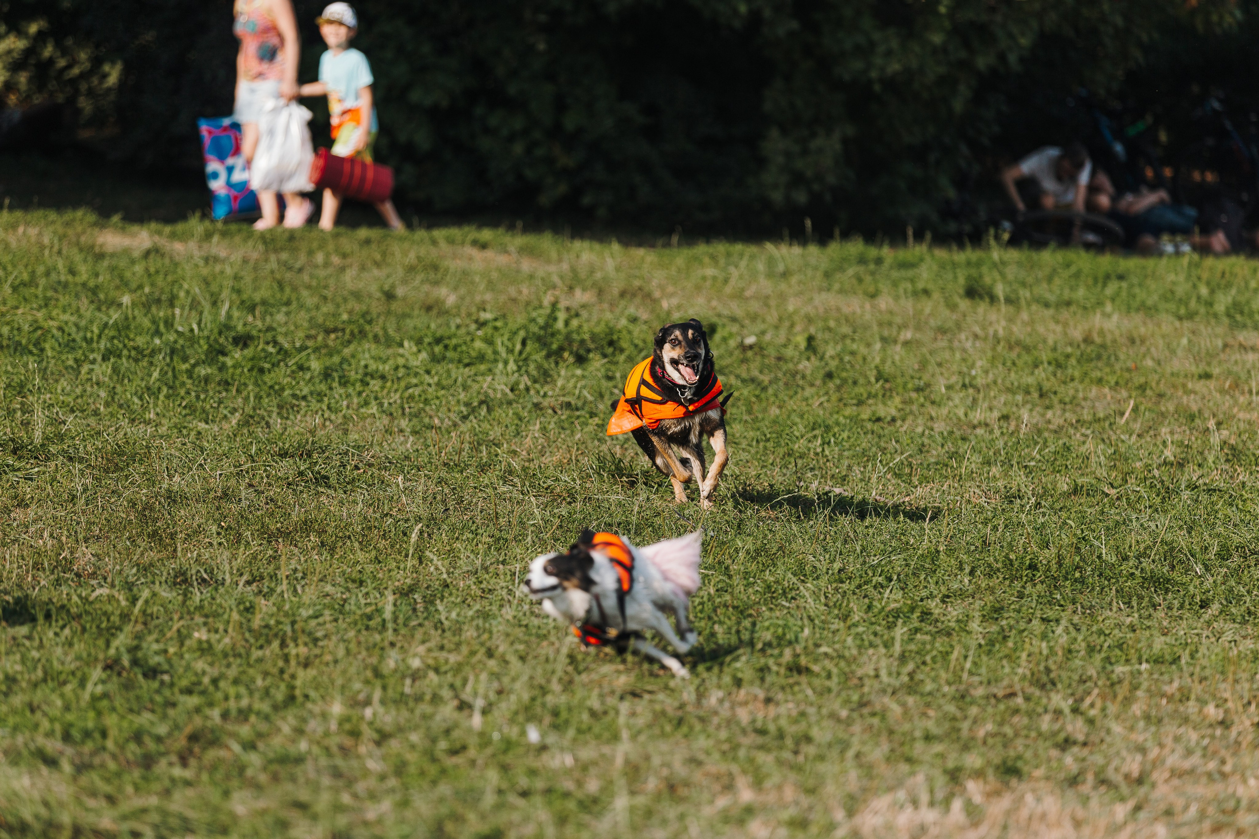 Petshop Sup day. Фотограф анималист Кристина Карпова, Москва