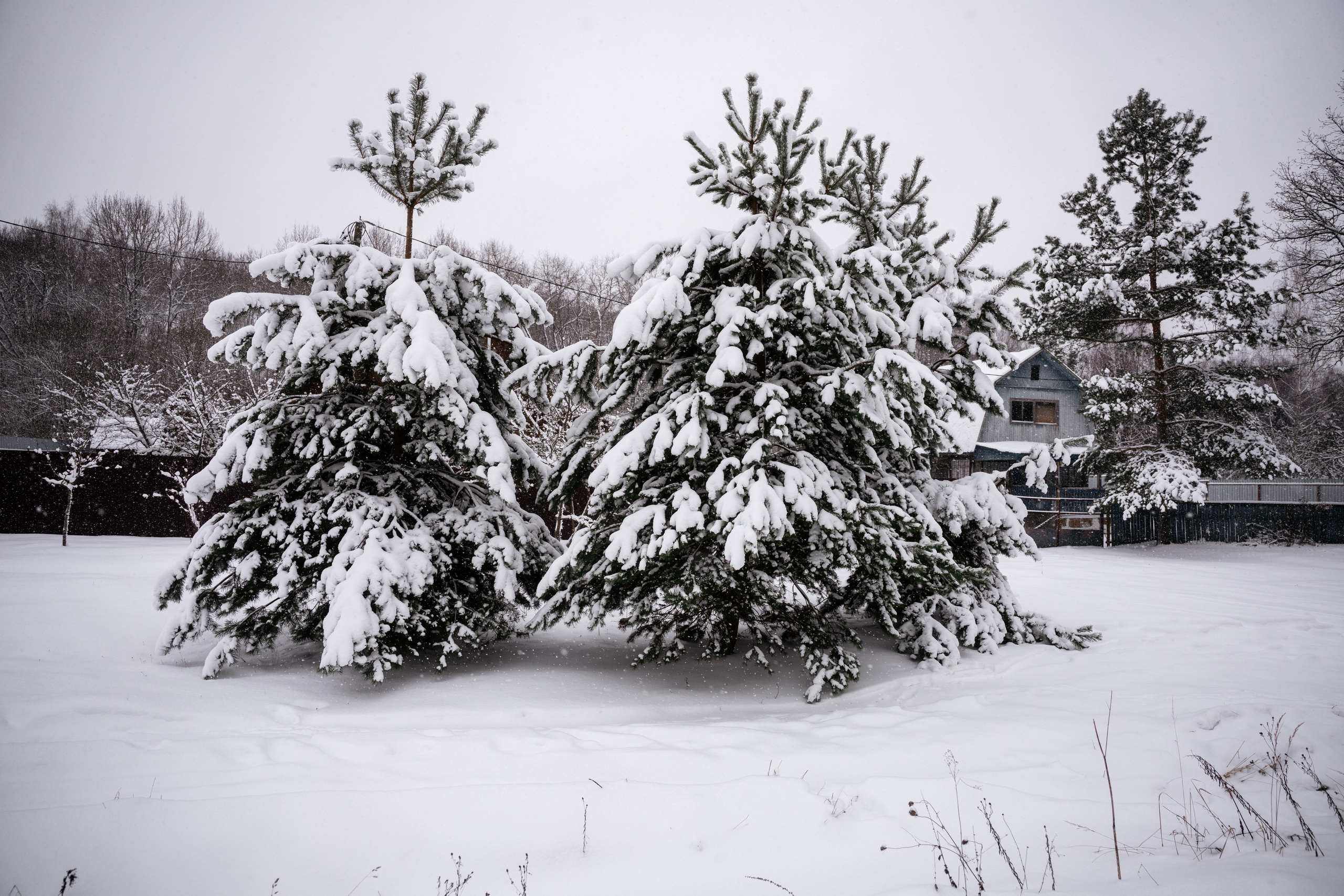 Поездка к р. Песочня и деревне Раевское. Vlad Trykov