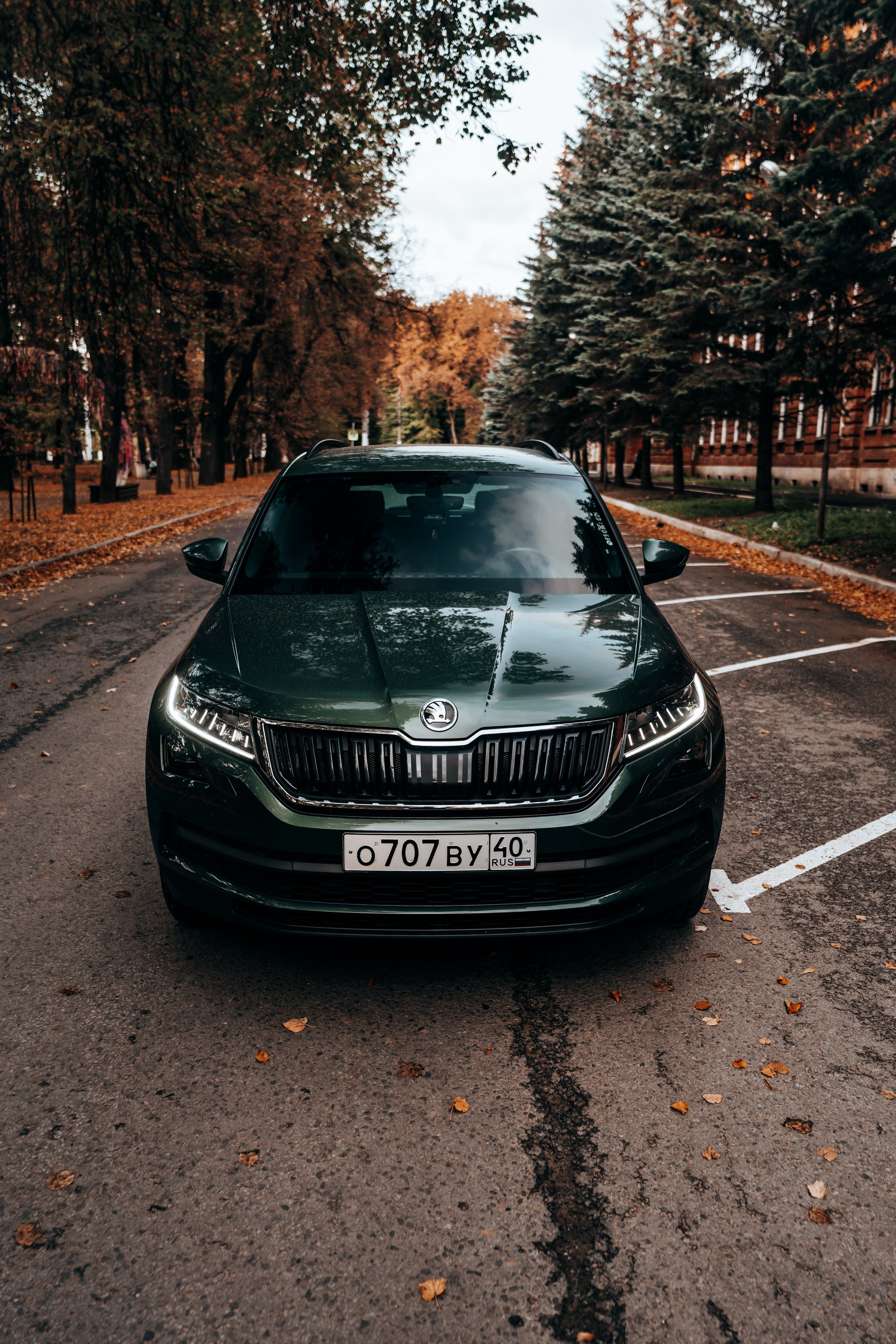 Skoda Kodiaq. Vlad Trykov