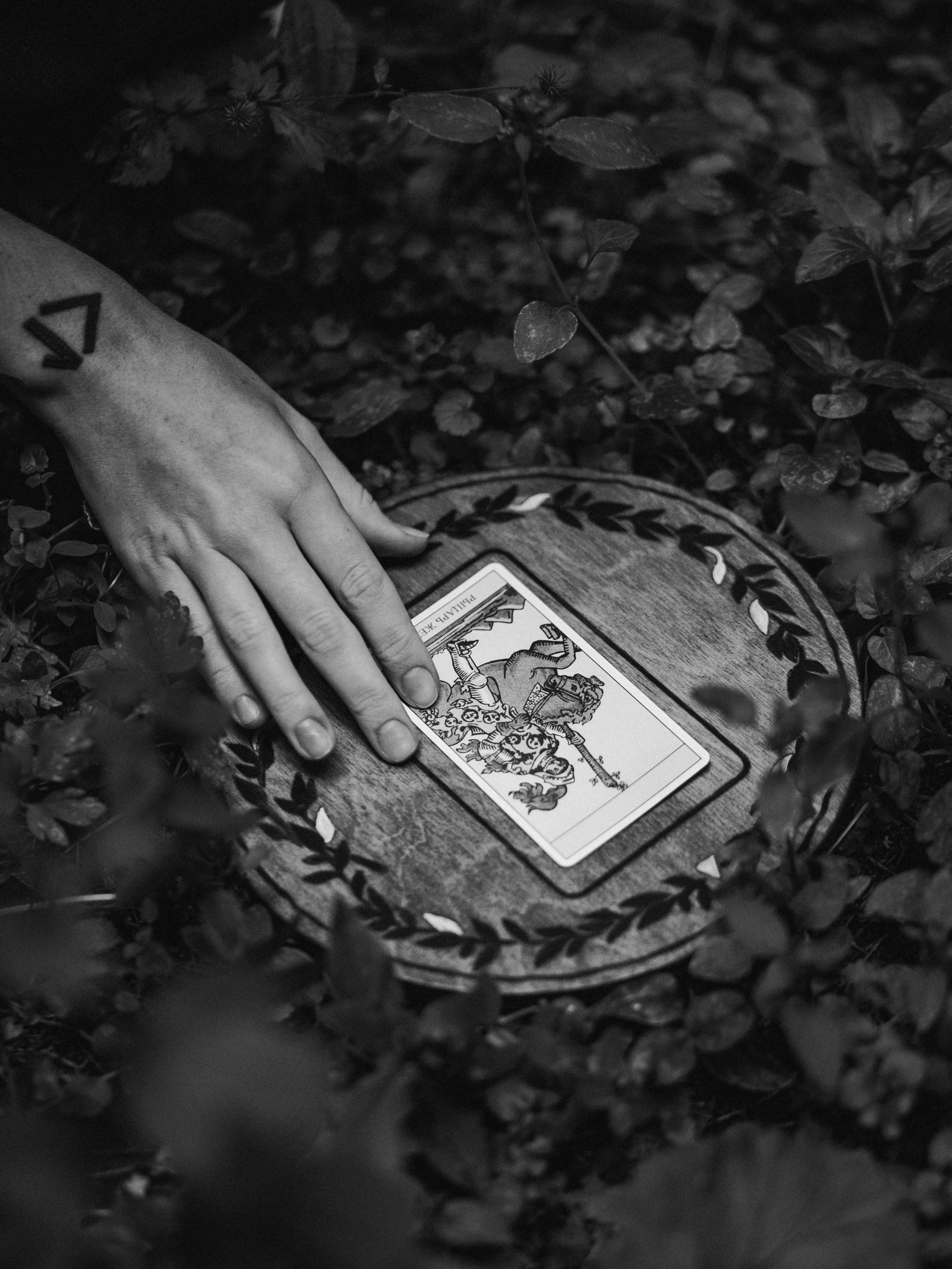 Ведьмин лес. Портретный и атмосферный фотограф Екатерина Шаврина