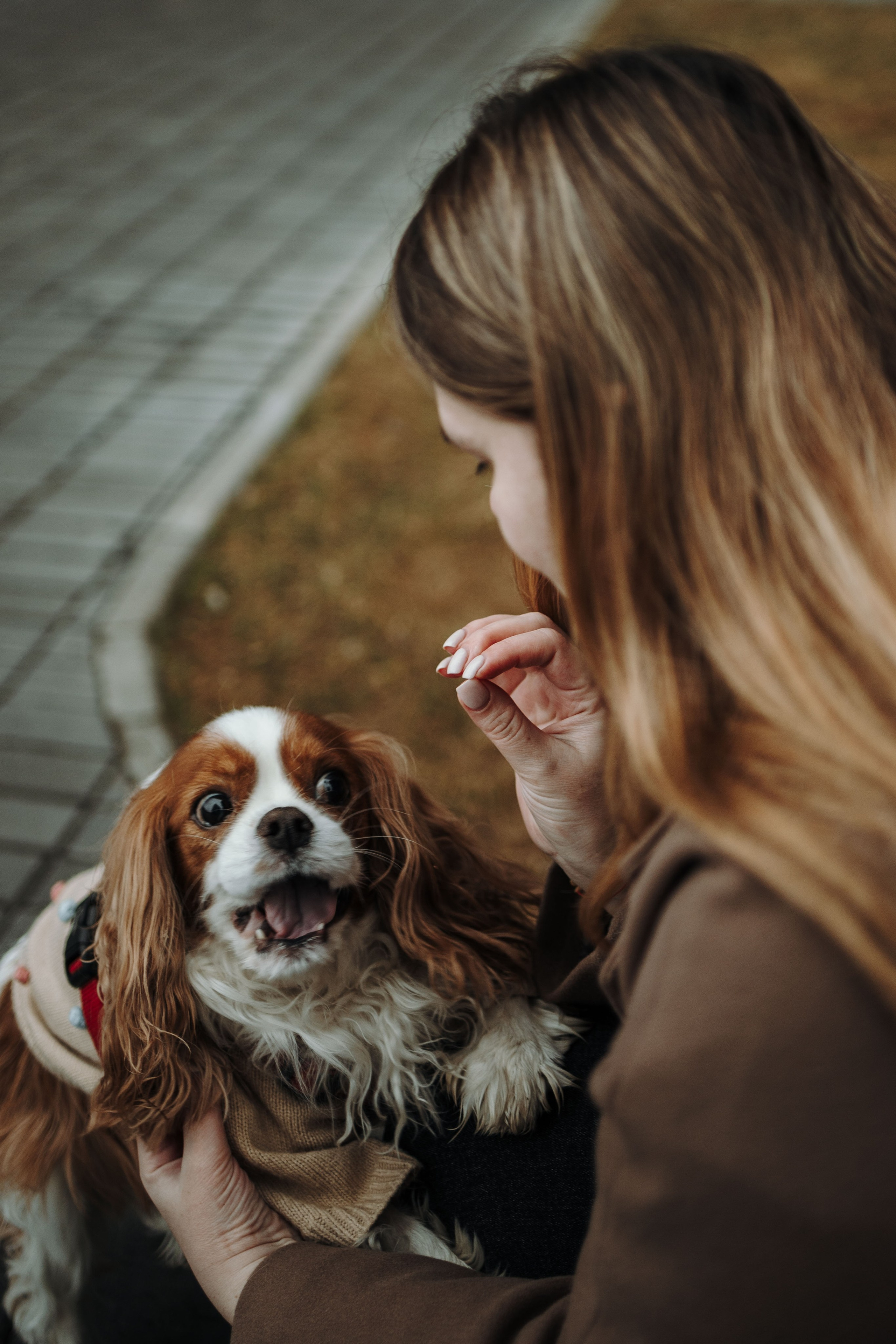 Любовь и Альтаир