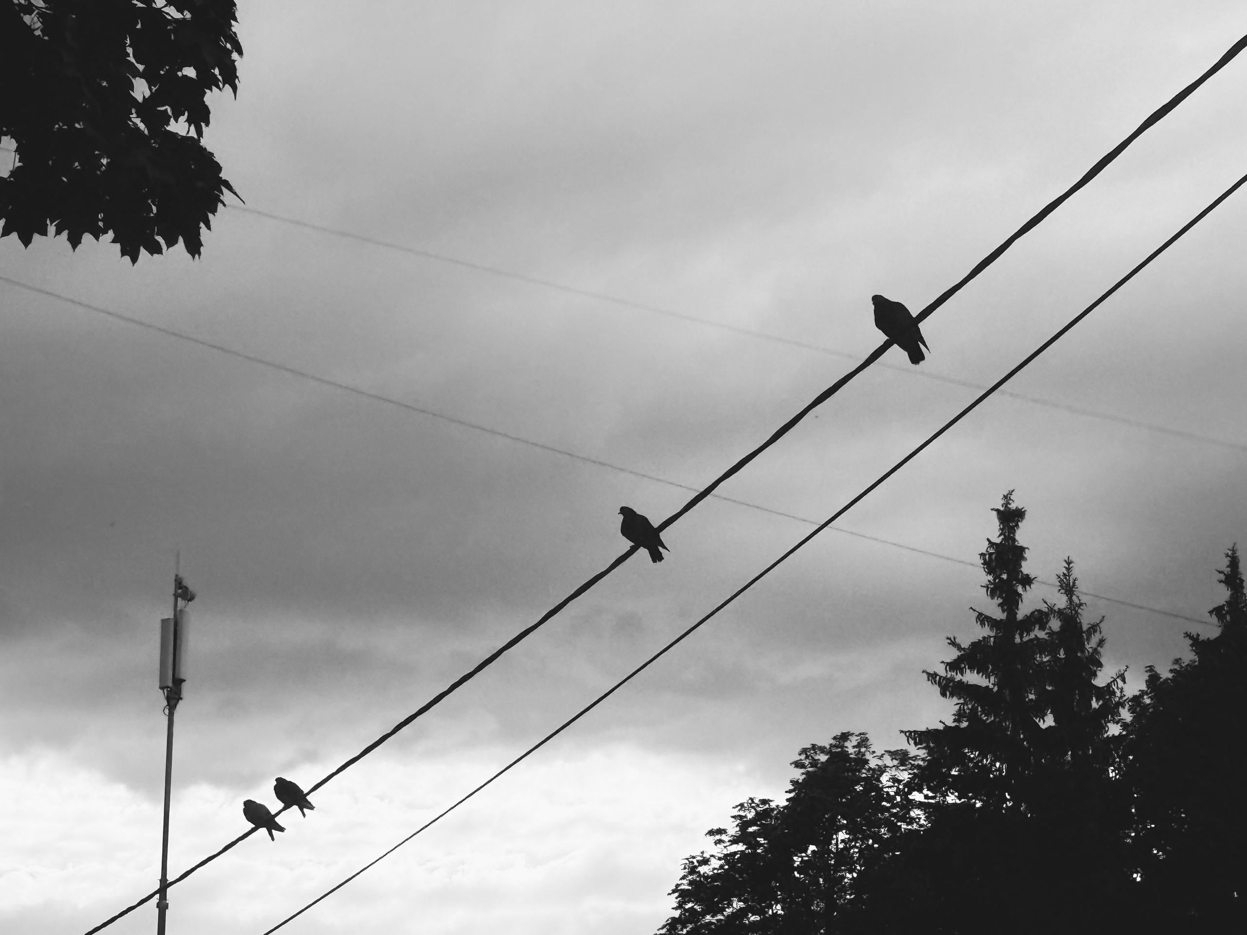 Уличный. Фотограф Арсений Королев