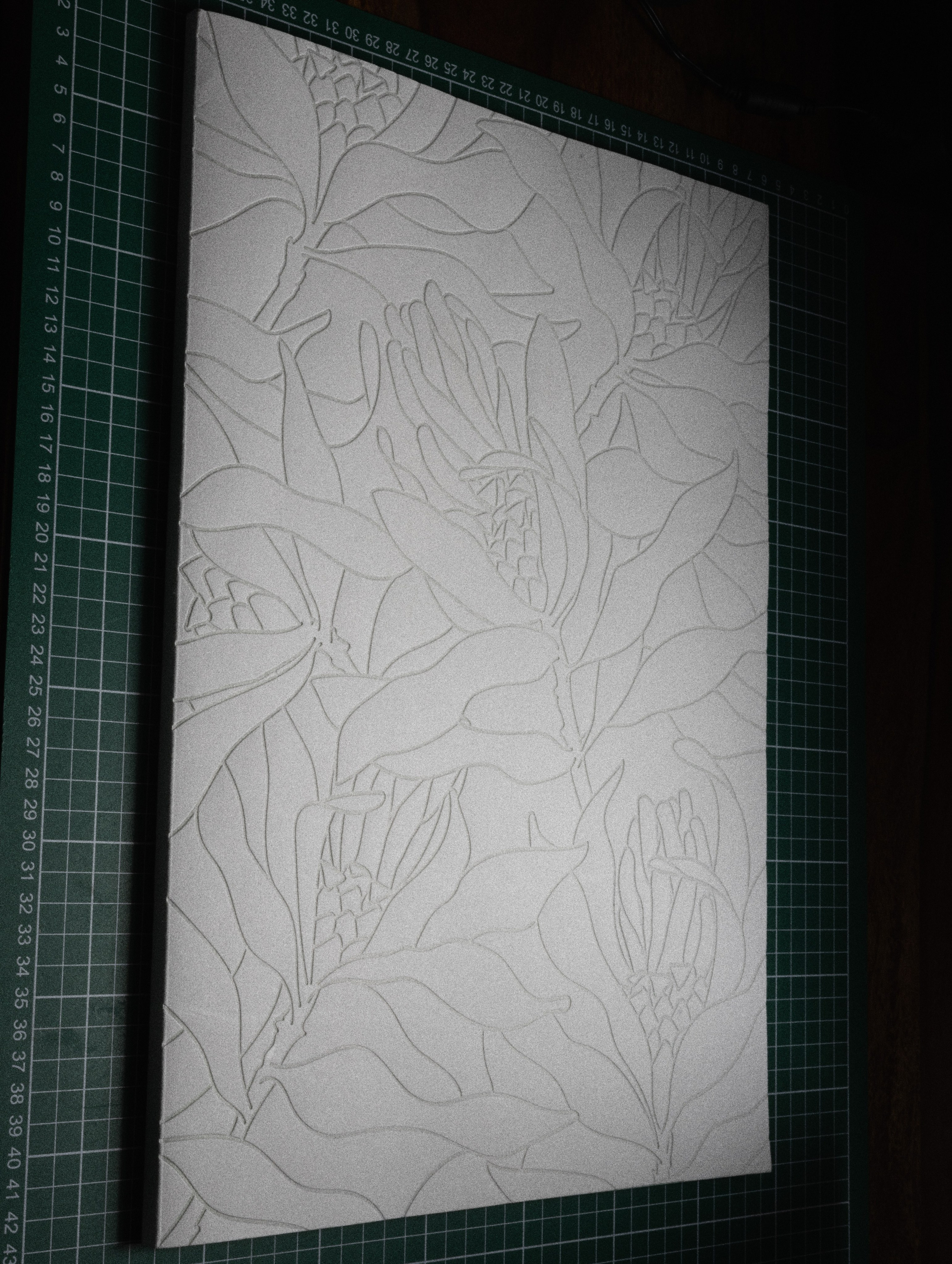 Фотокнижная библиотека Светы Кавериной. Фотограф и исследователь фотографии из Санкт-Петербурга Елизавета Веприцкая