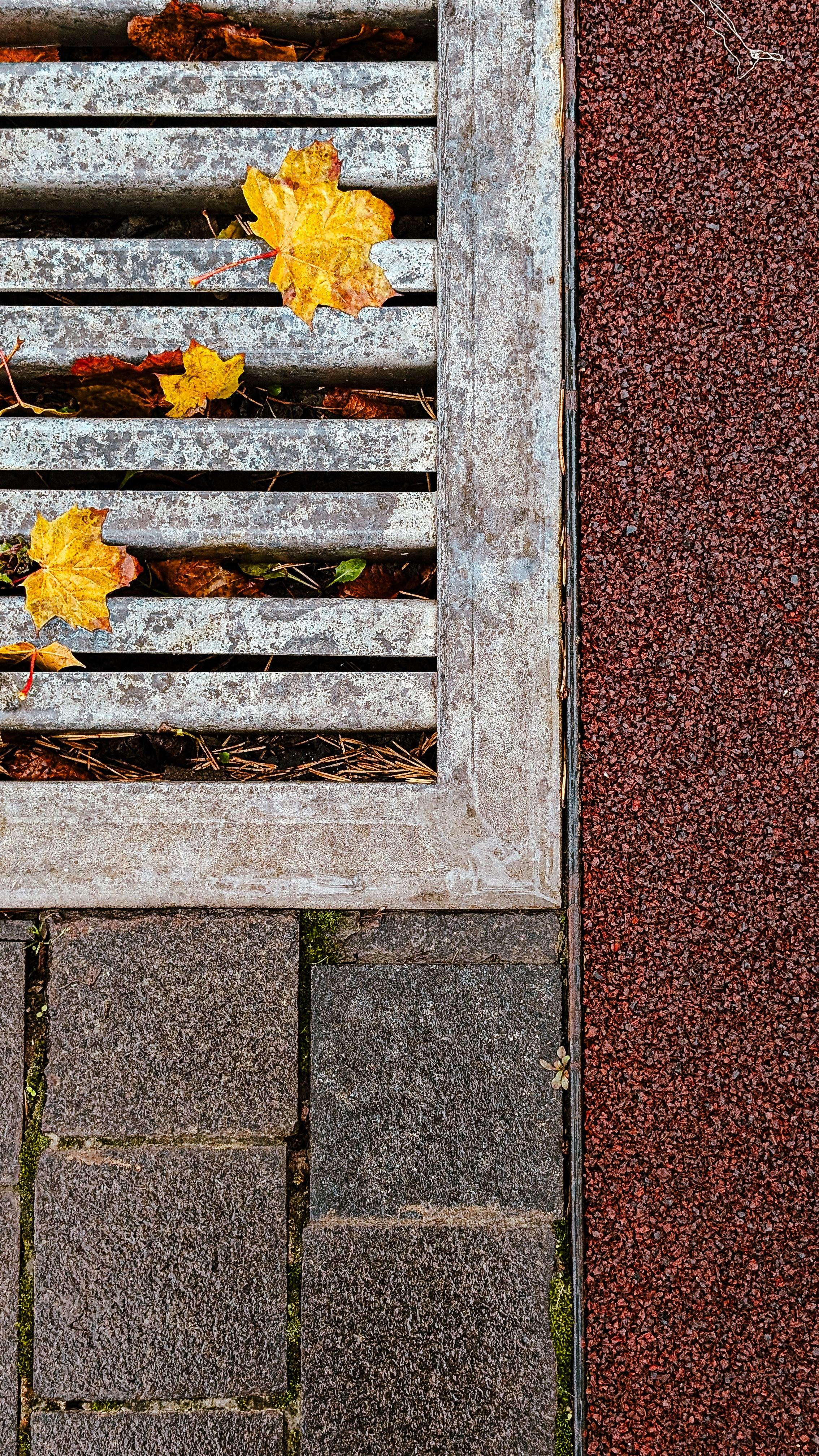 Мобильная фотография. Интерьерный и портретный фотограф в Москве Анна Моногарова