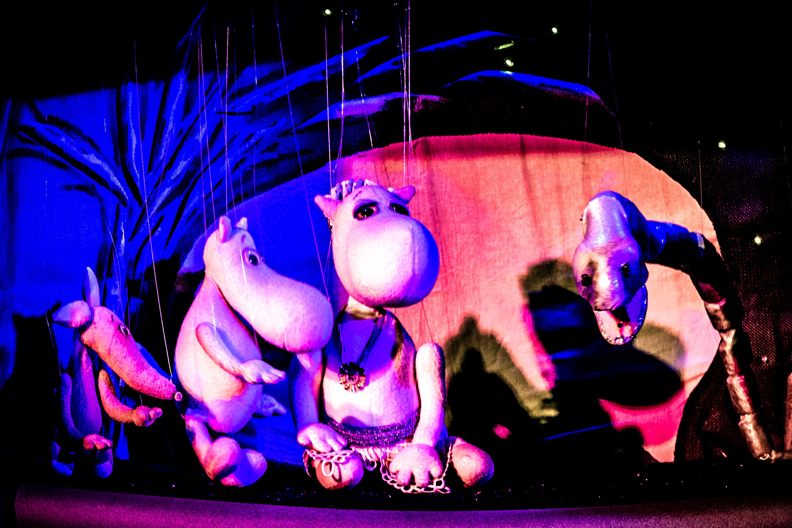 «Муми тролли и большое наводнение». Фотограф в Сочи Юрий Шептаев