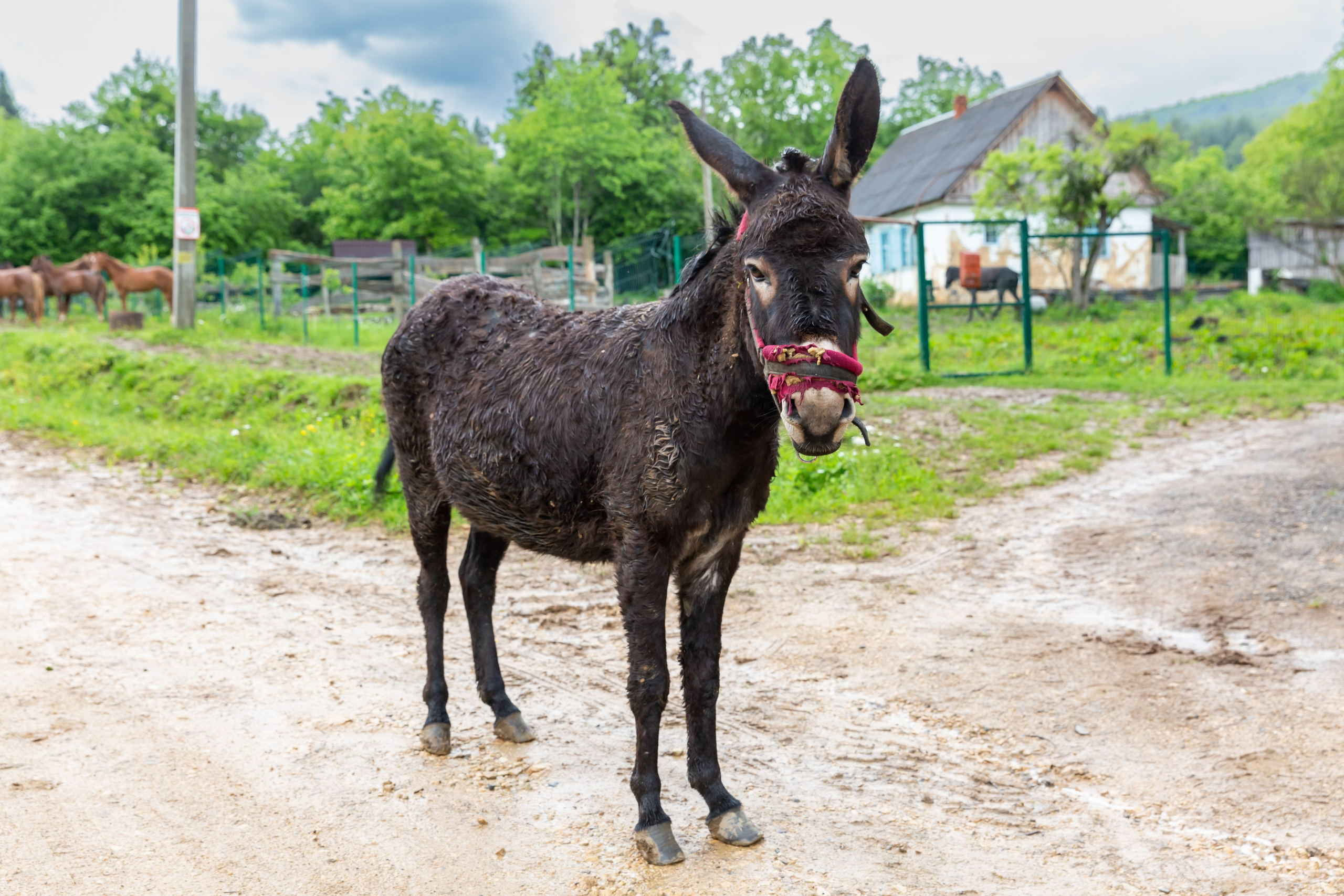 Репортажная и контент съемки. Dr. FOTO