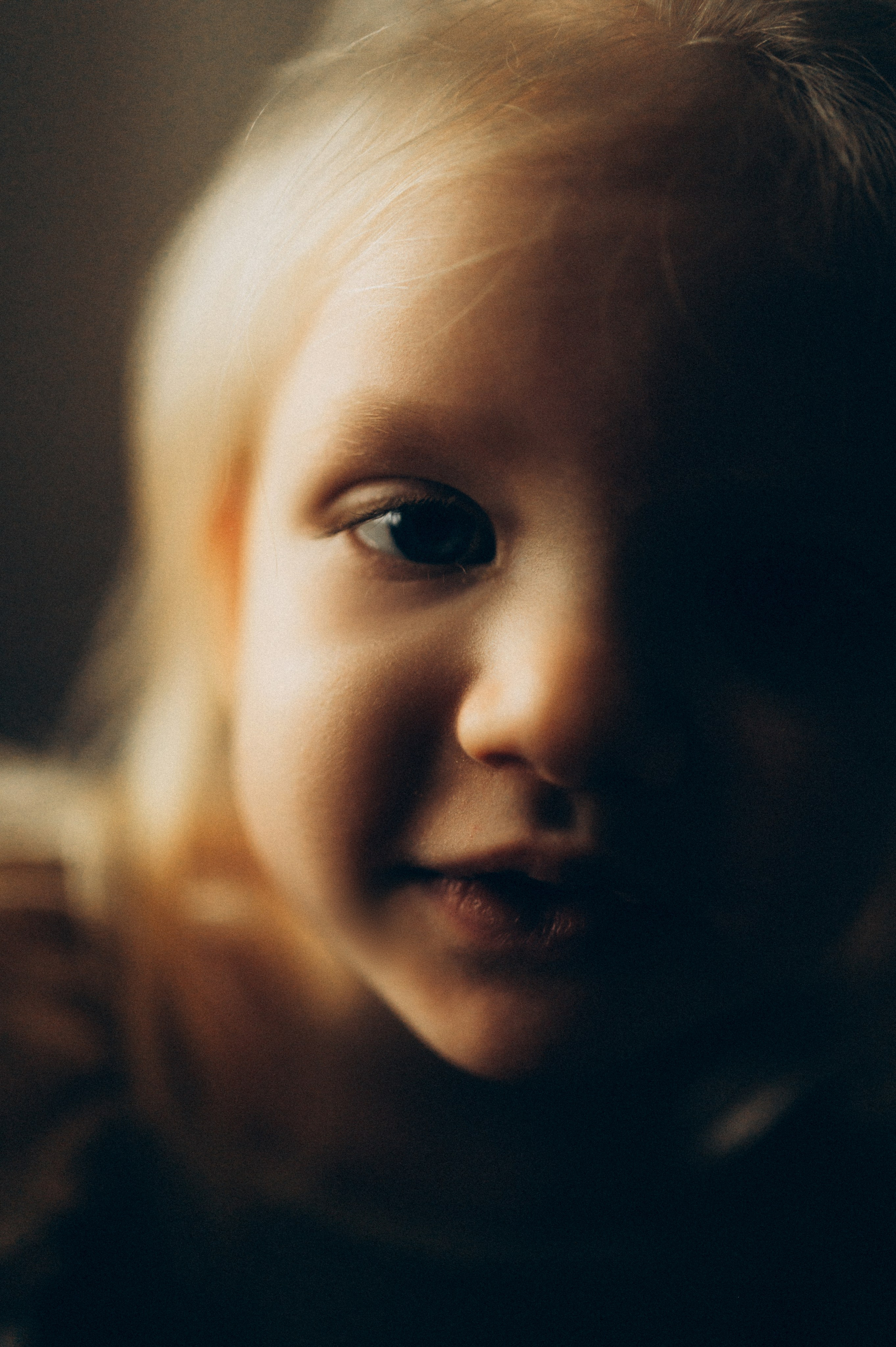 Волшебная семейная дома. Фотограф Алексин, Тула