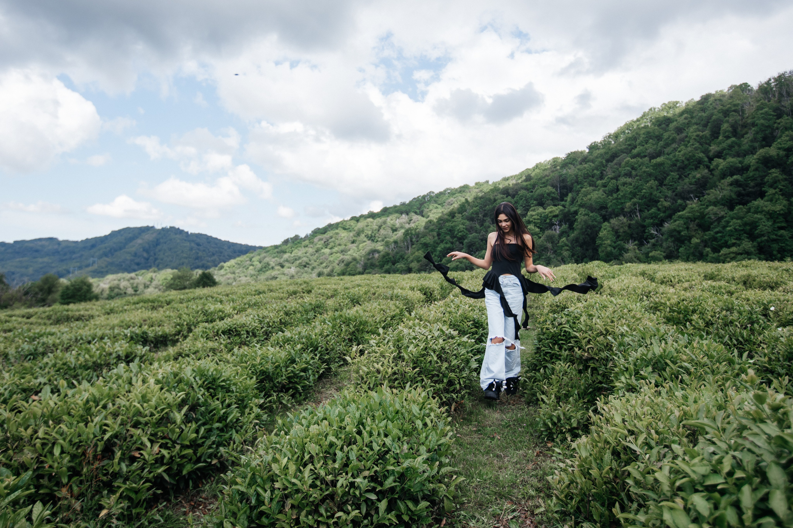 Tea plantation. Efimova Model Agency