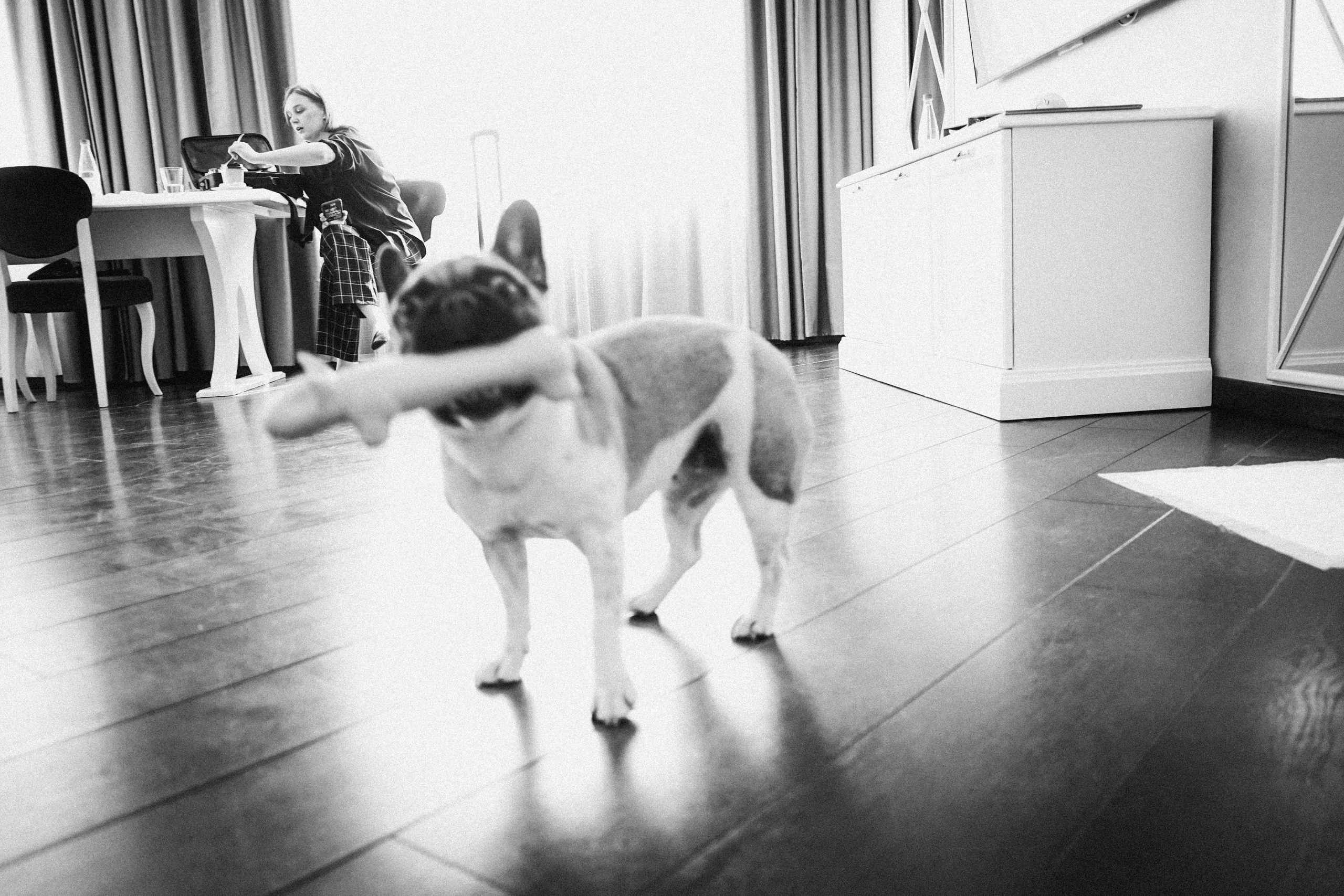 Свадебный фотограф Тбилиси. Фотограф в Грузии ОАЭ | Nekit Fox