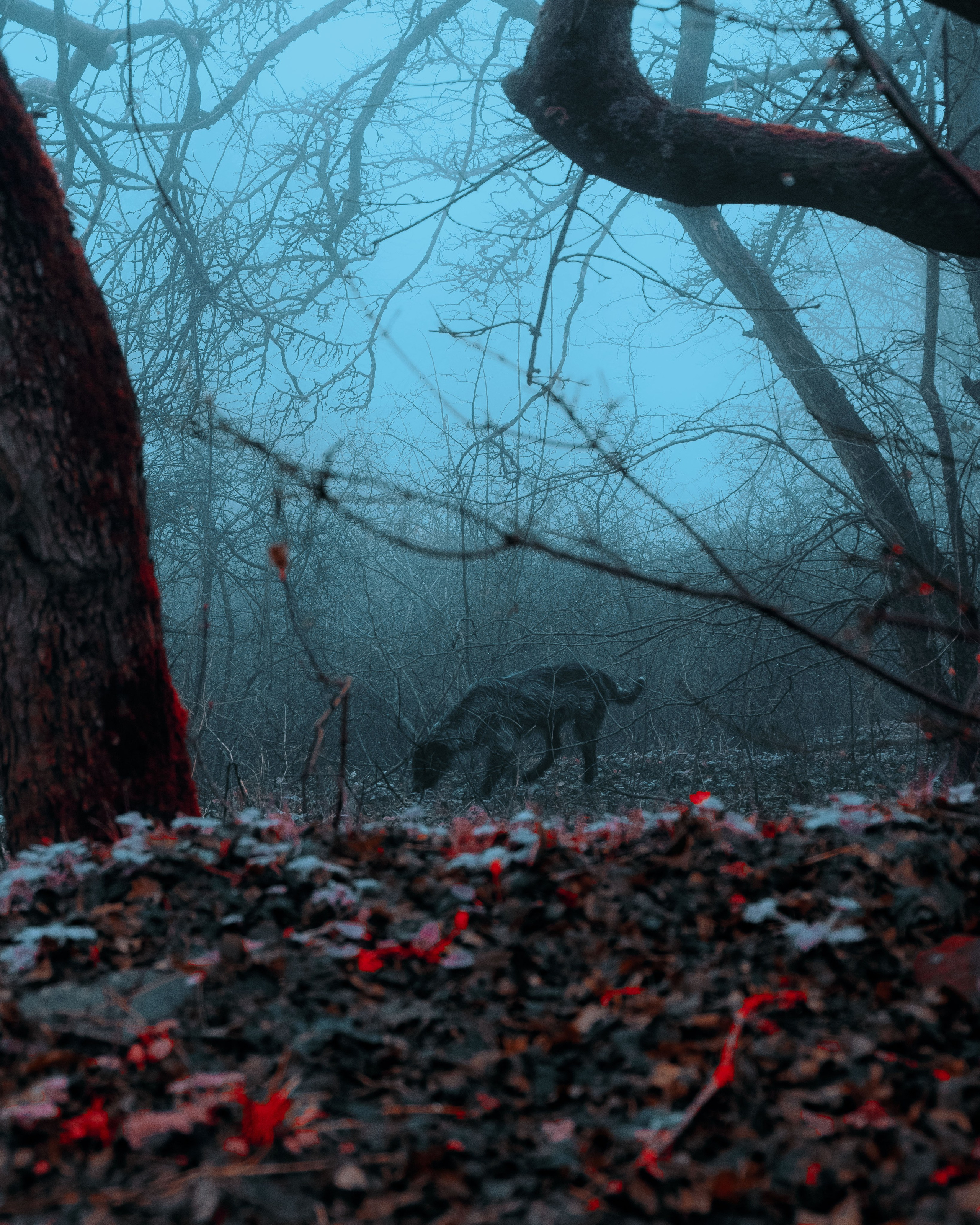 Стрит / Окружение / Архитектура. Фотограф Александр Чернышёв