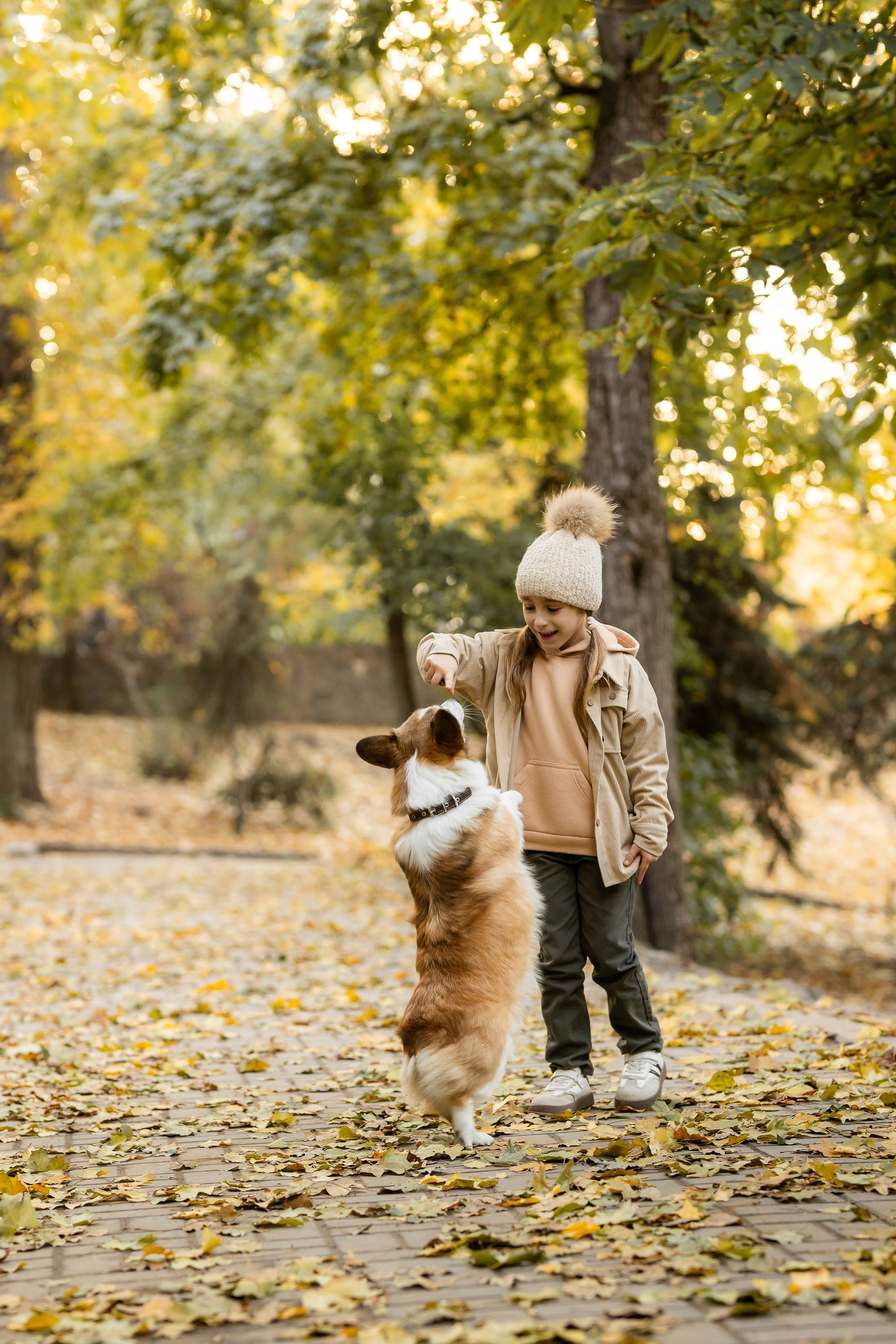 Осень с Корги. Семейный и женский фотограф в Ростове-на-Дону Екатерина Фитисова