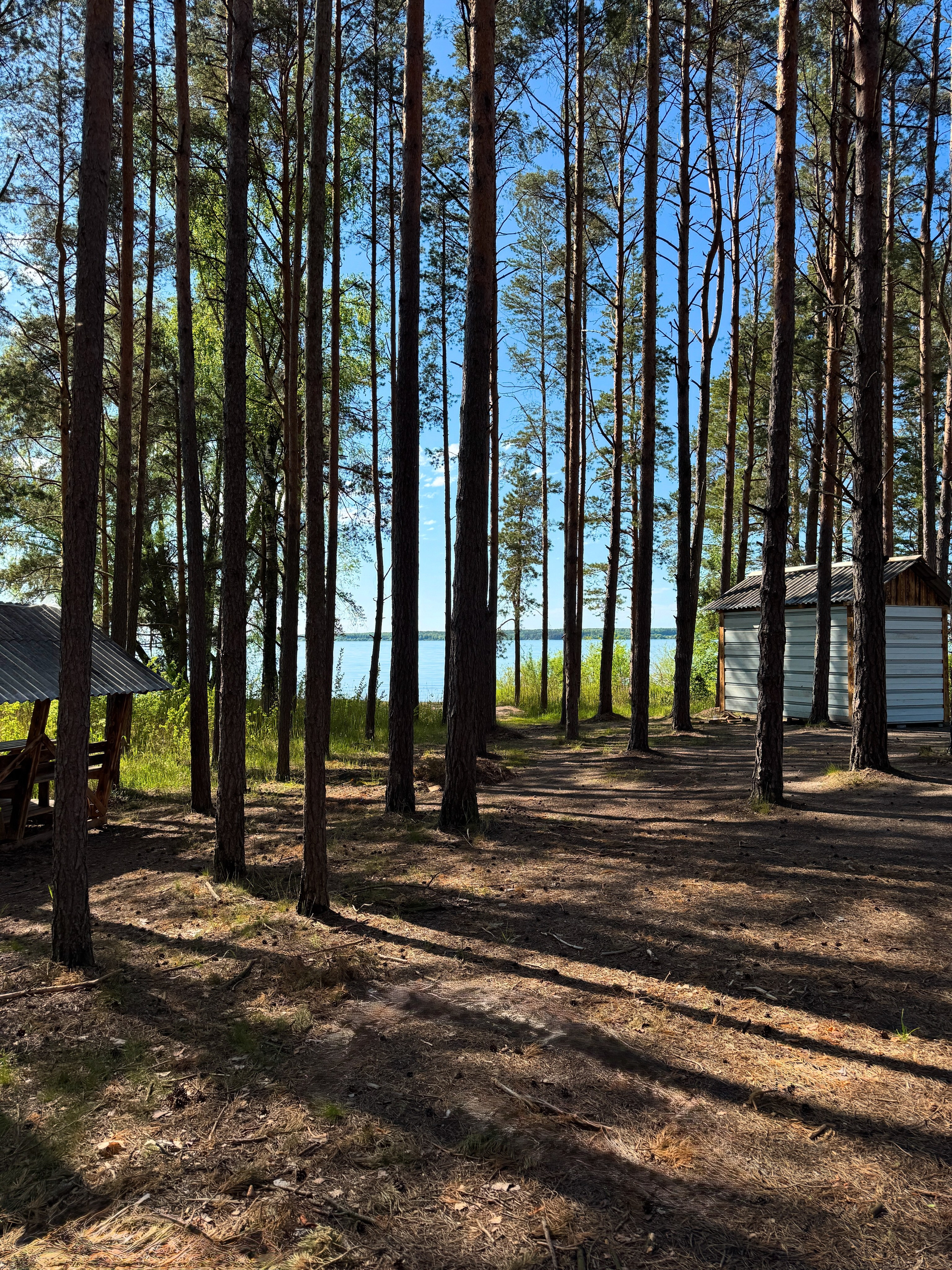 Домики. Добро пожаловать в Кемпинг — уникальное место для отдыха на лоне природы!