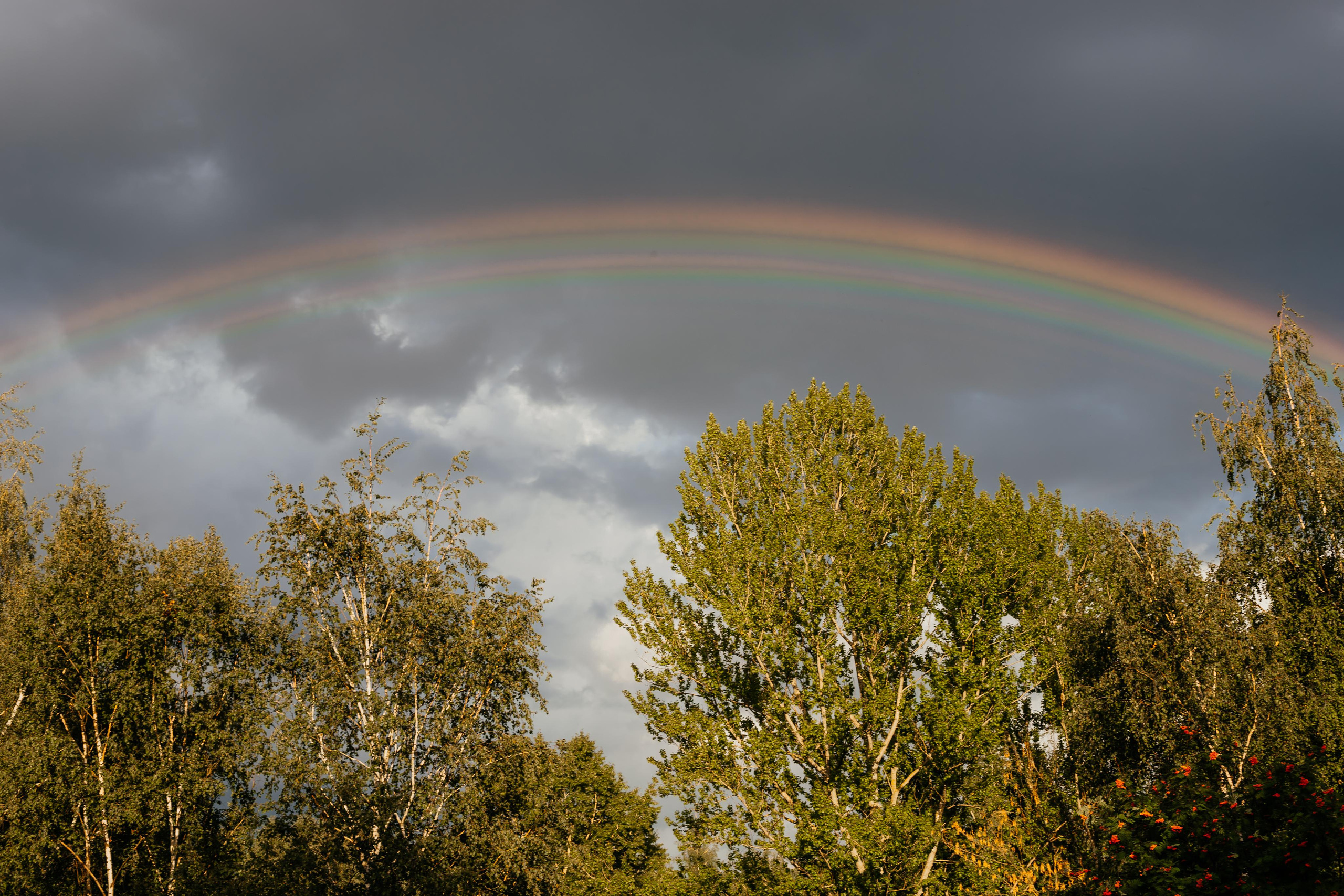 Анна с семьей. Семейный и домашний фотограф в Москве и МО Королева Валерия