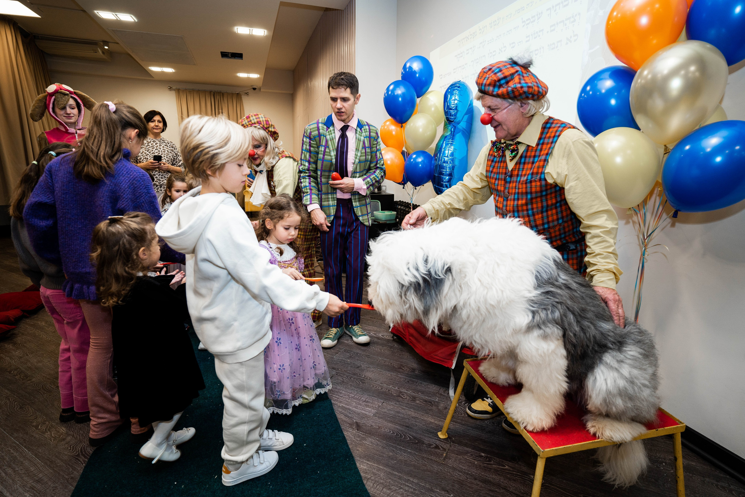 Даниэль h-day. Фотограф Абакумова Анастасия