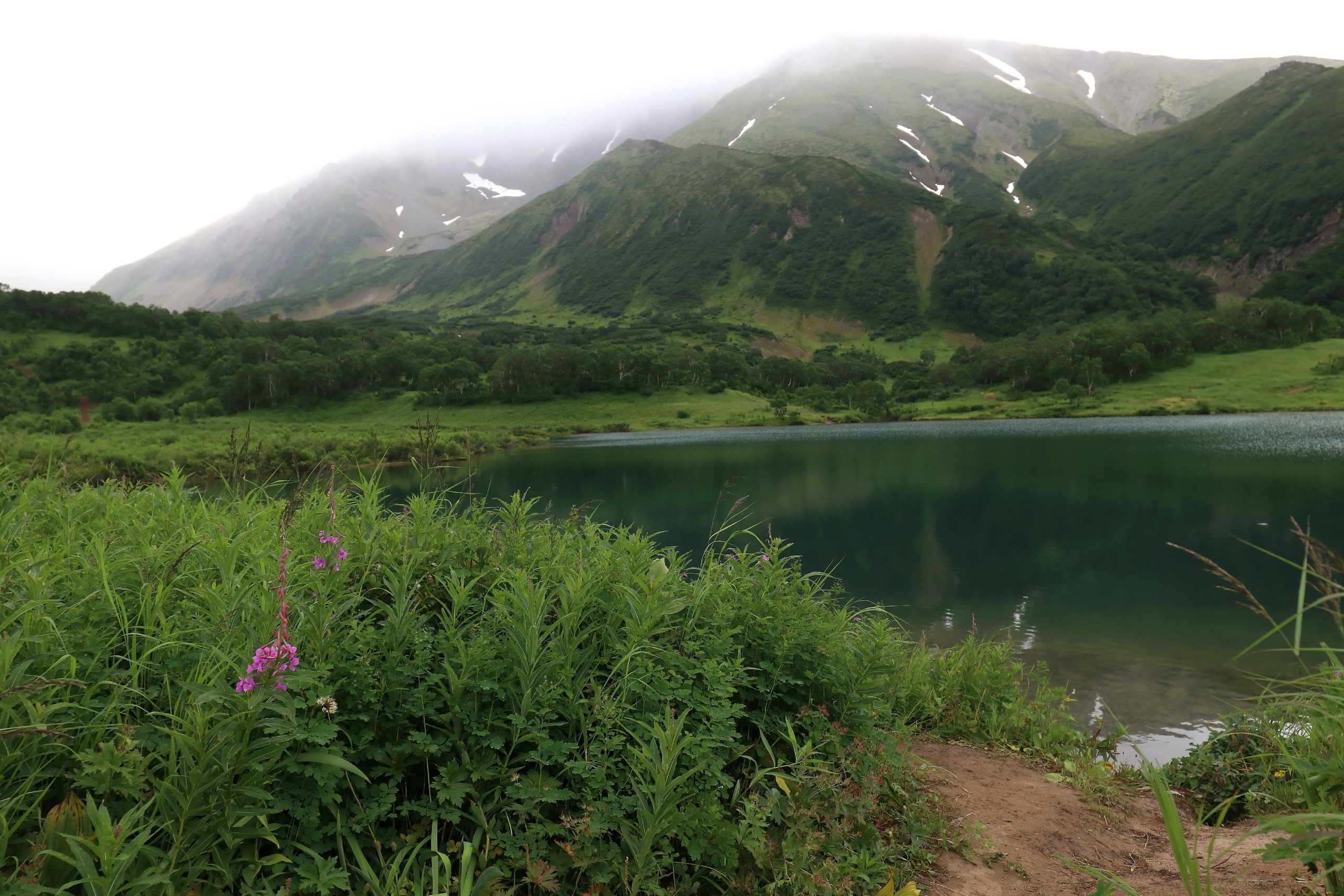 Камчатка и о. Парамушир. Июль 2024. Путешественник-фотограф из Санкт-Петербурга Татьяна Свистулина
