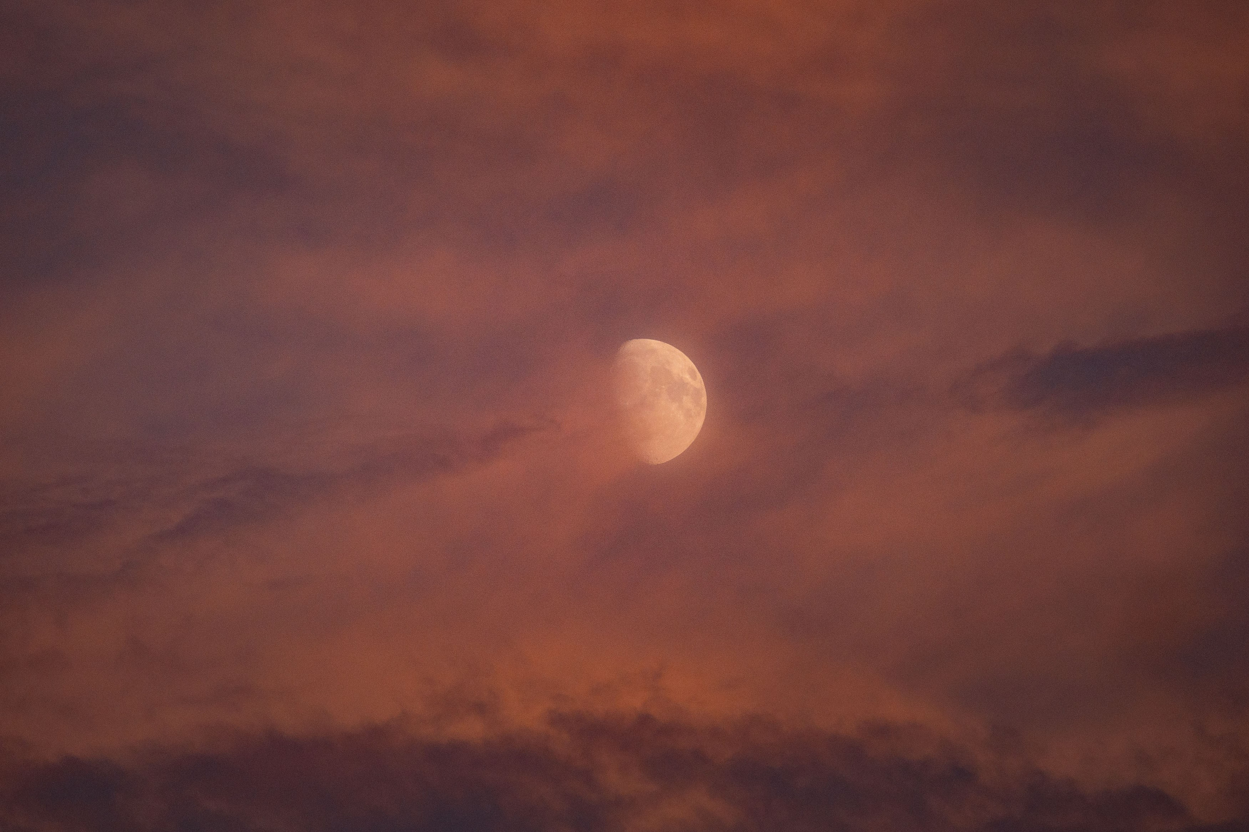 Абхазия 24. Vazovsky Photography