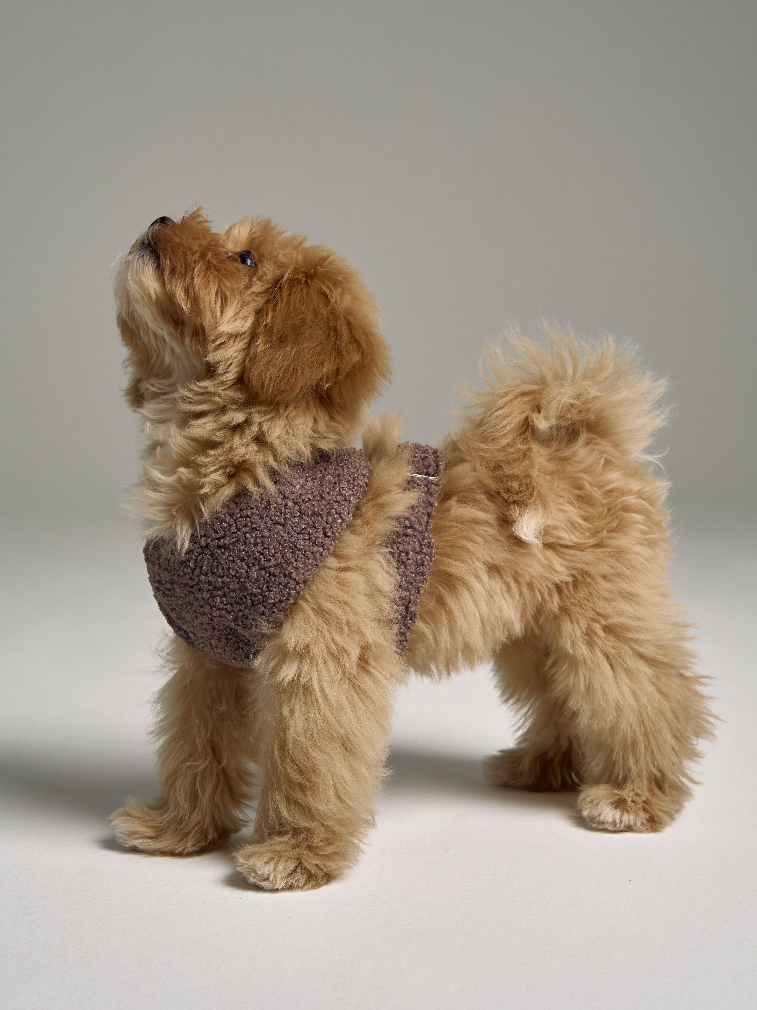 TEDDY’S treasures commercial. Anastasia Patshina