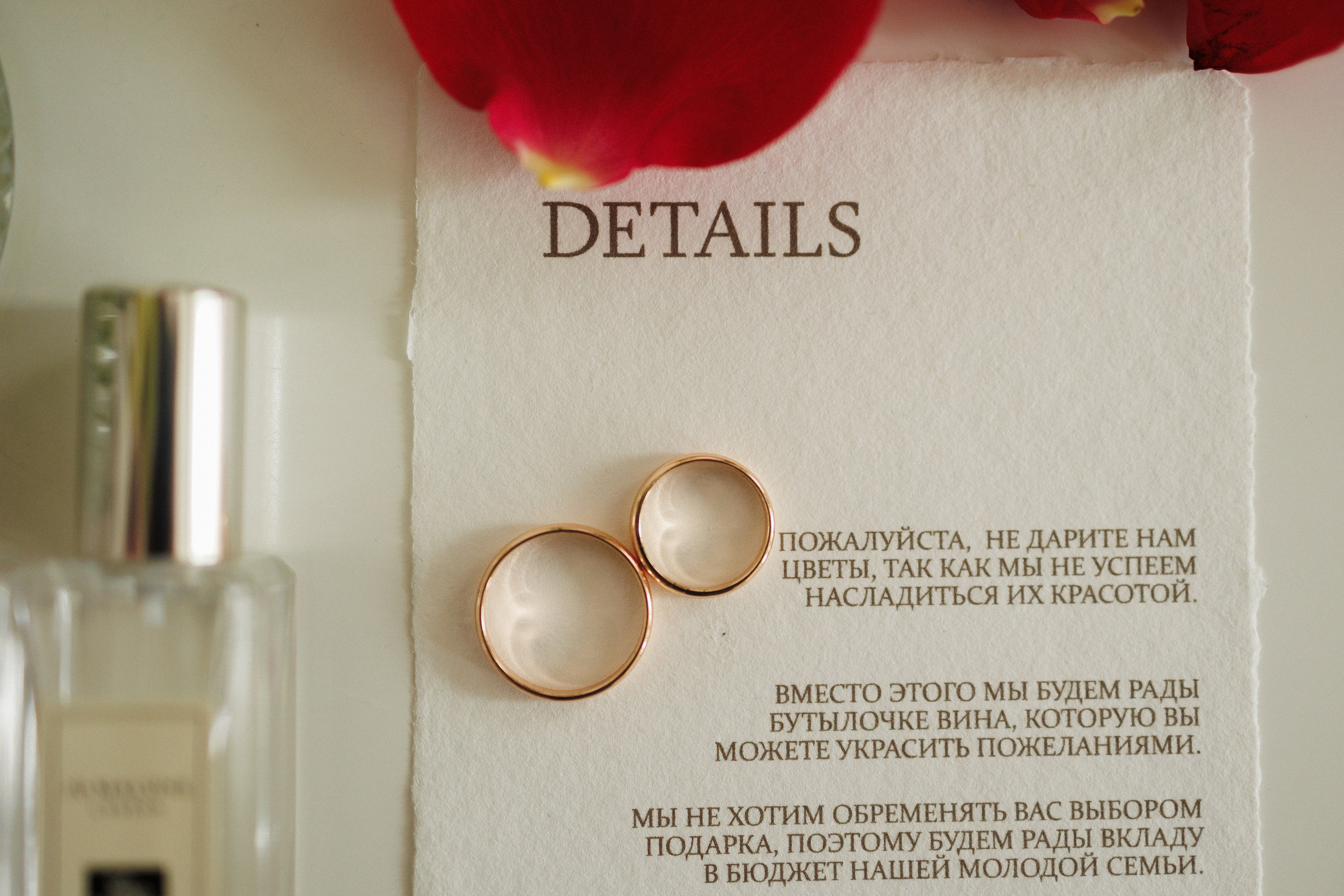 SO / young and beautiful / 2024. Фотограф СПб