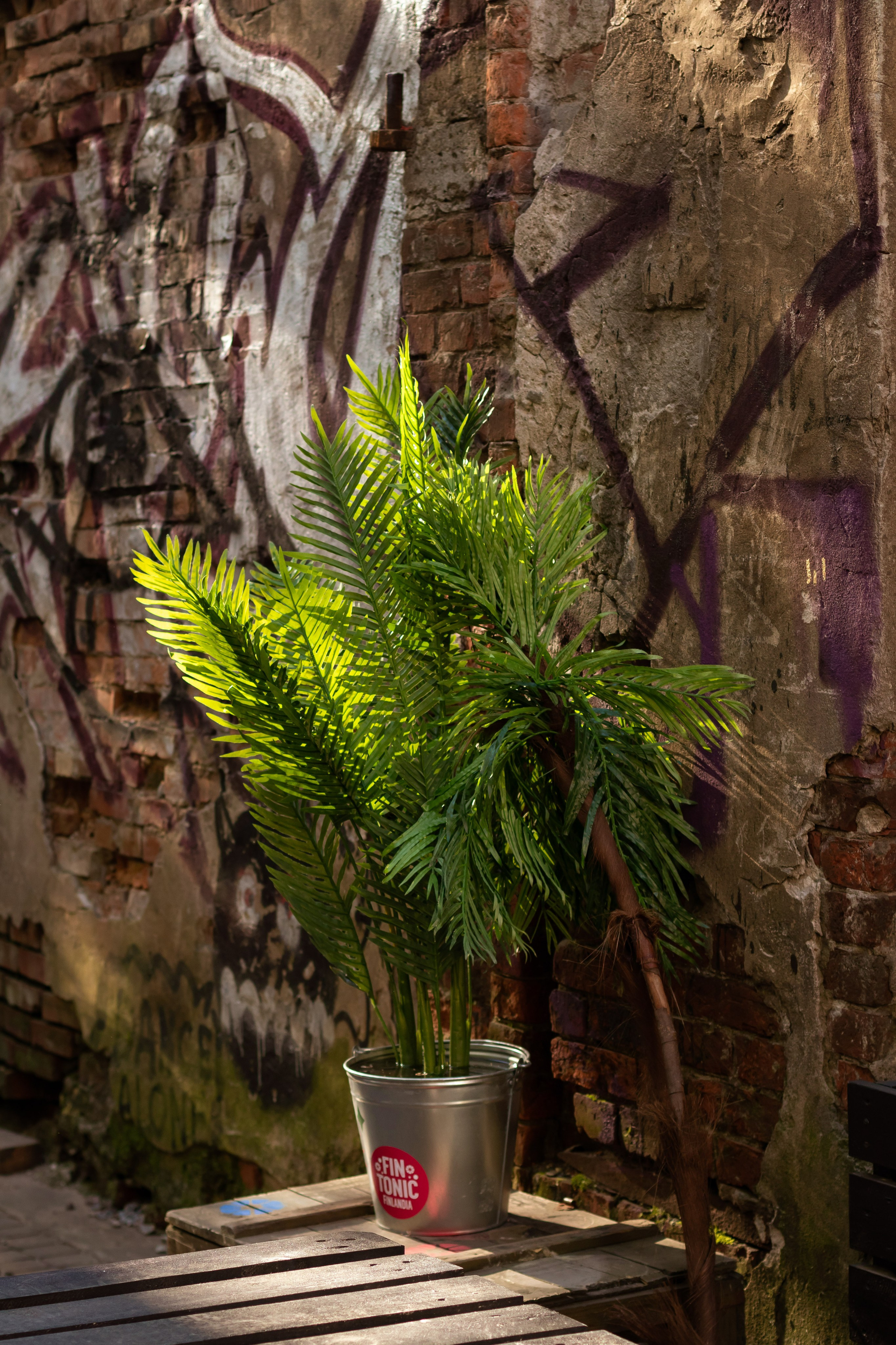 Детские мероприятия (квесты, лагеря, вечеринки). Коммерческий фотограф в Санкт-Петербурге (СПб) Екатерина Панчёха, Панчёшка