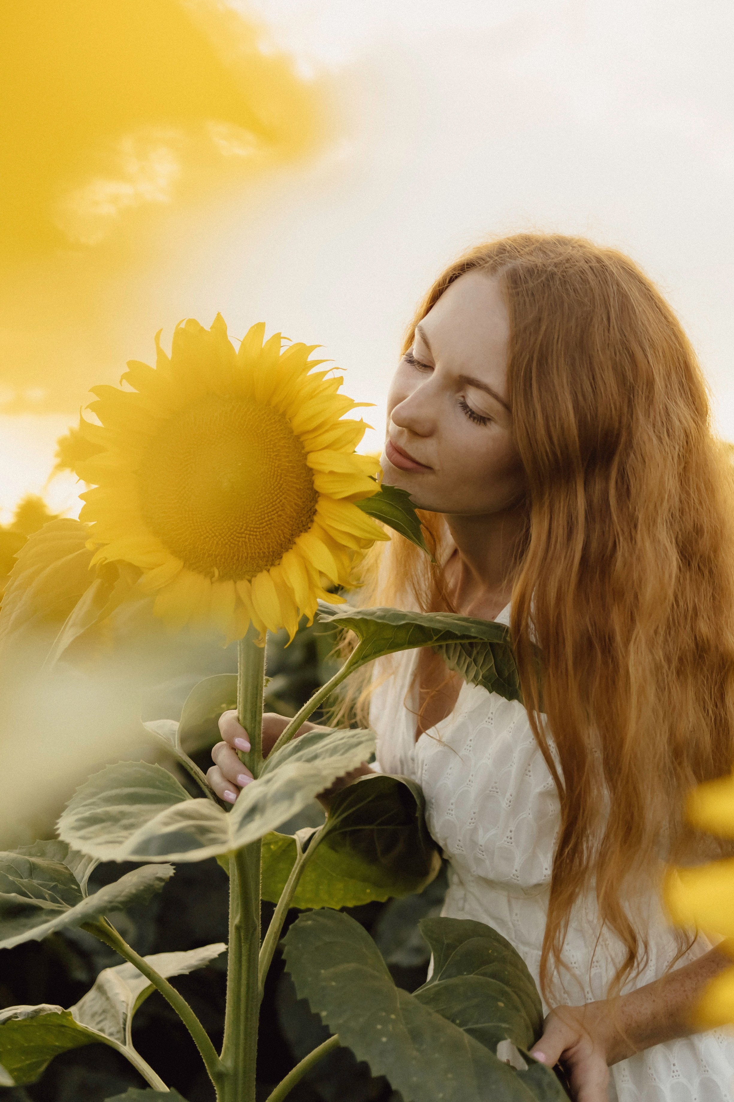 Елена в подсолнухах. Фотограф в Кирове и Кирово-Чепецке Валерия Шиляева