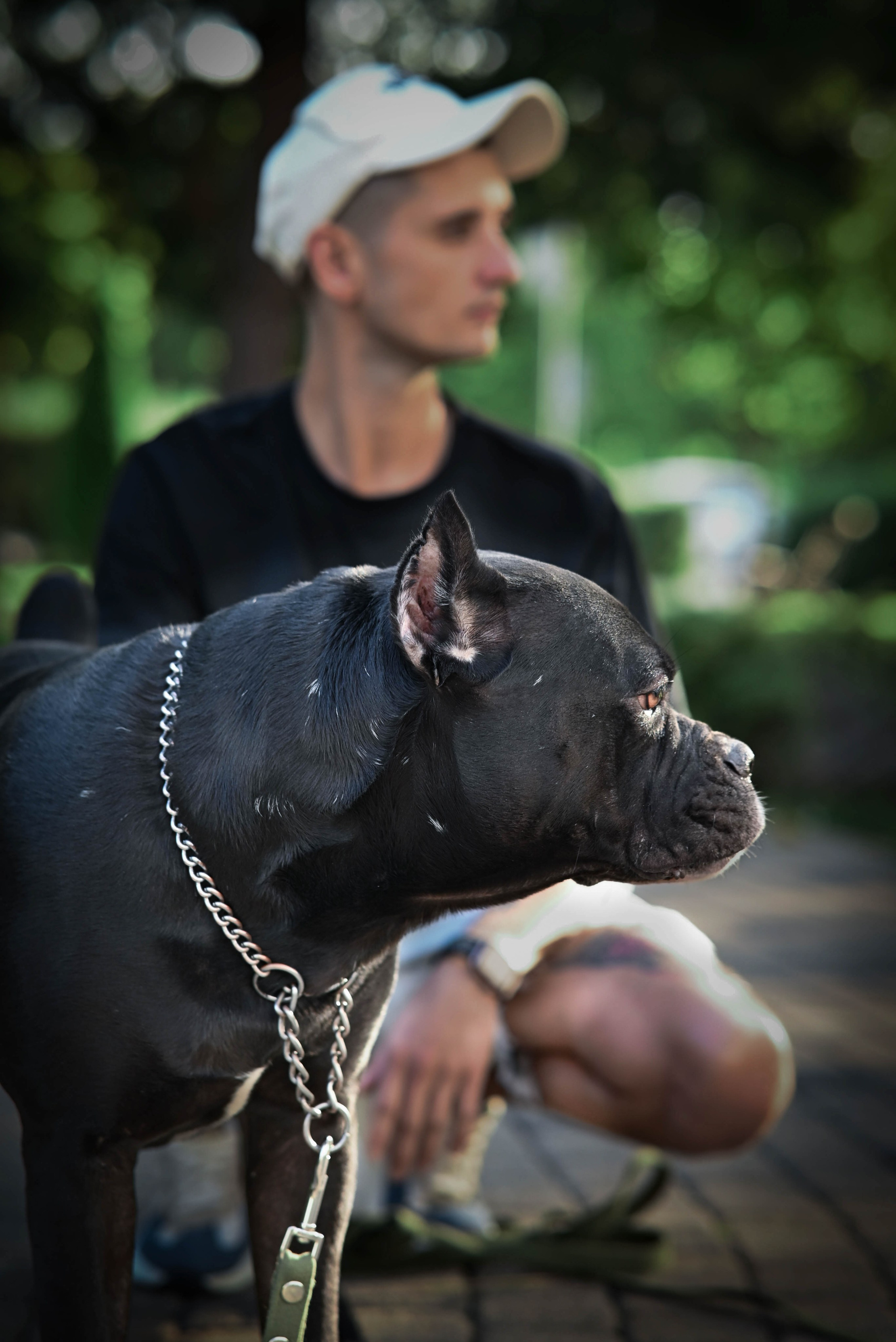 Фотосессии с собаками. Фотограф Краснодар Наталья Сувит