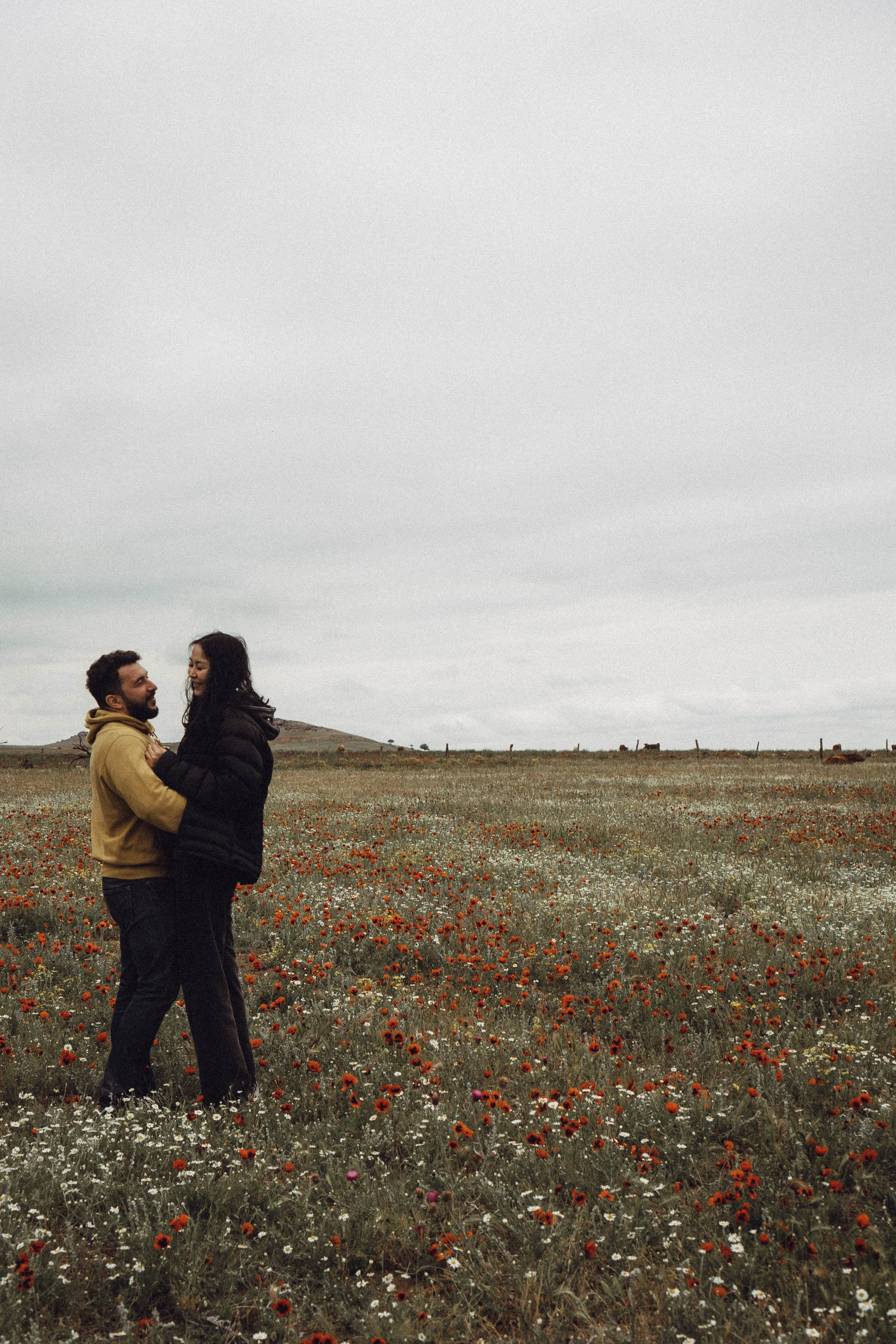 Любовь в маковом поле. Профессиональный фотограф, Санкт-Петербург — Виктория Богомолова