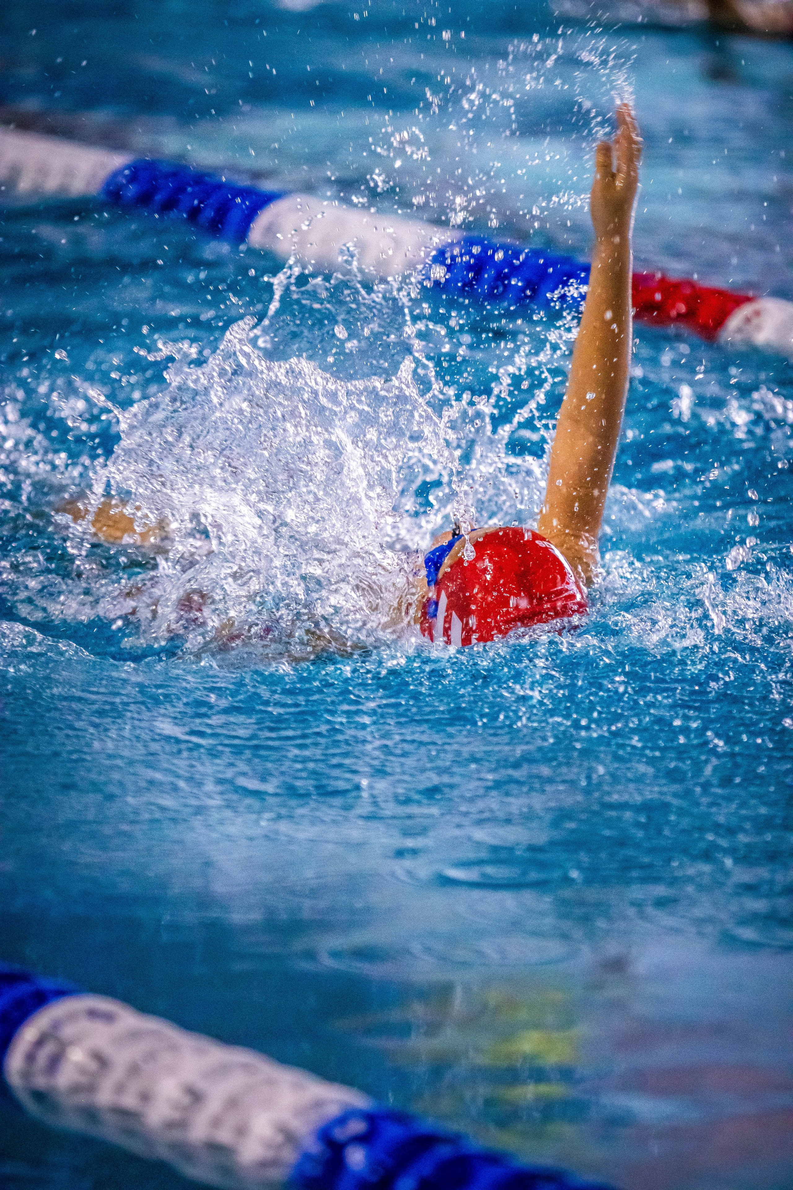 Фотосессия соревнований по плаванию в Пушкино Московской области