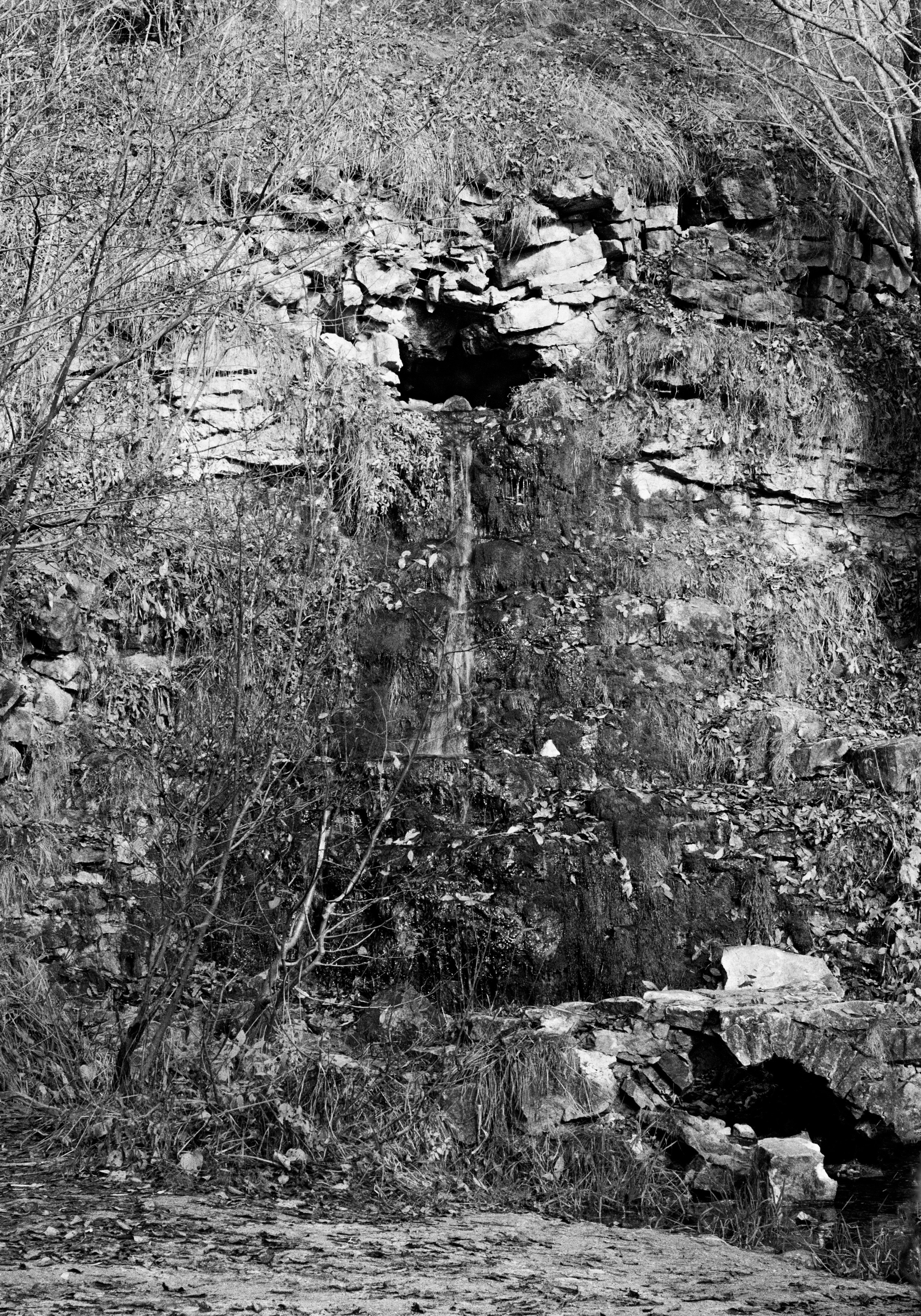 Prints. Maria Abdullaeva