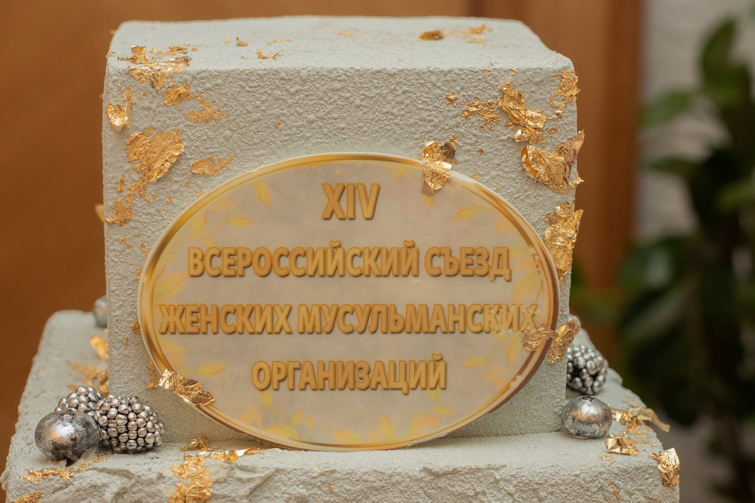 XIV Всероссийский съезд женских мусульманских организаций. Лина Курочка — ваш фотограф