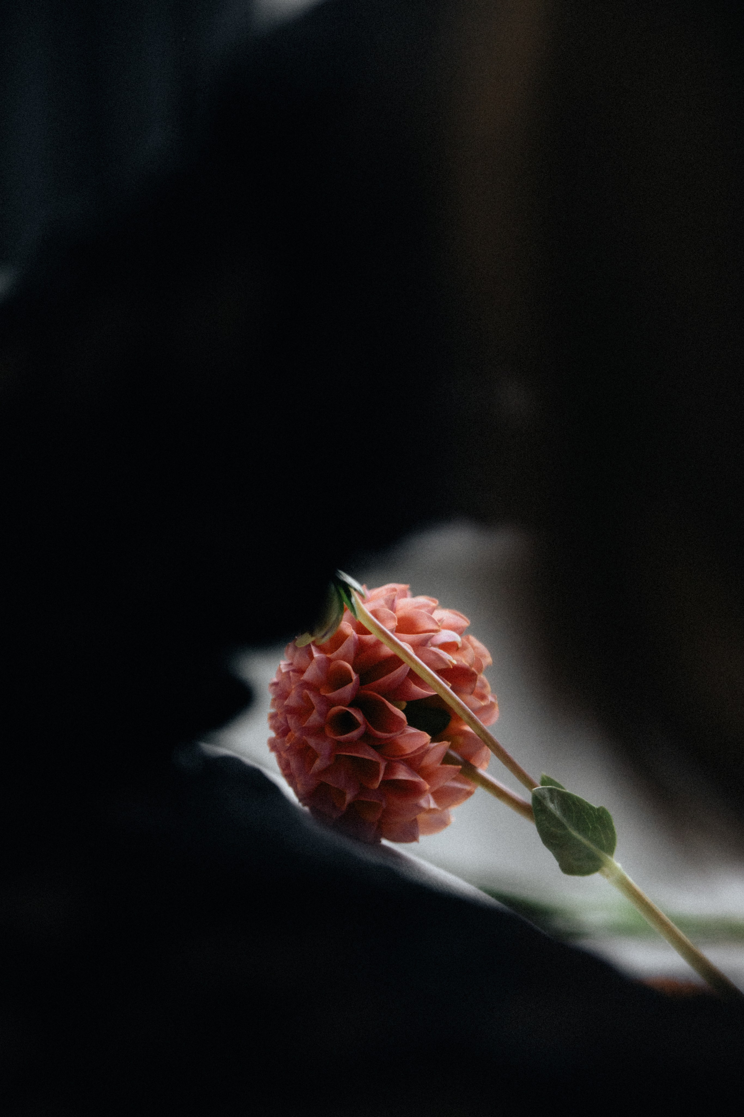 Анастасия. Свадебный фотограф Максим Яненко в Волгограде