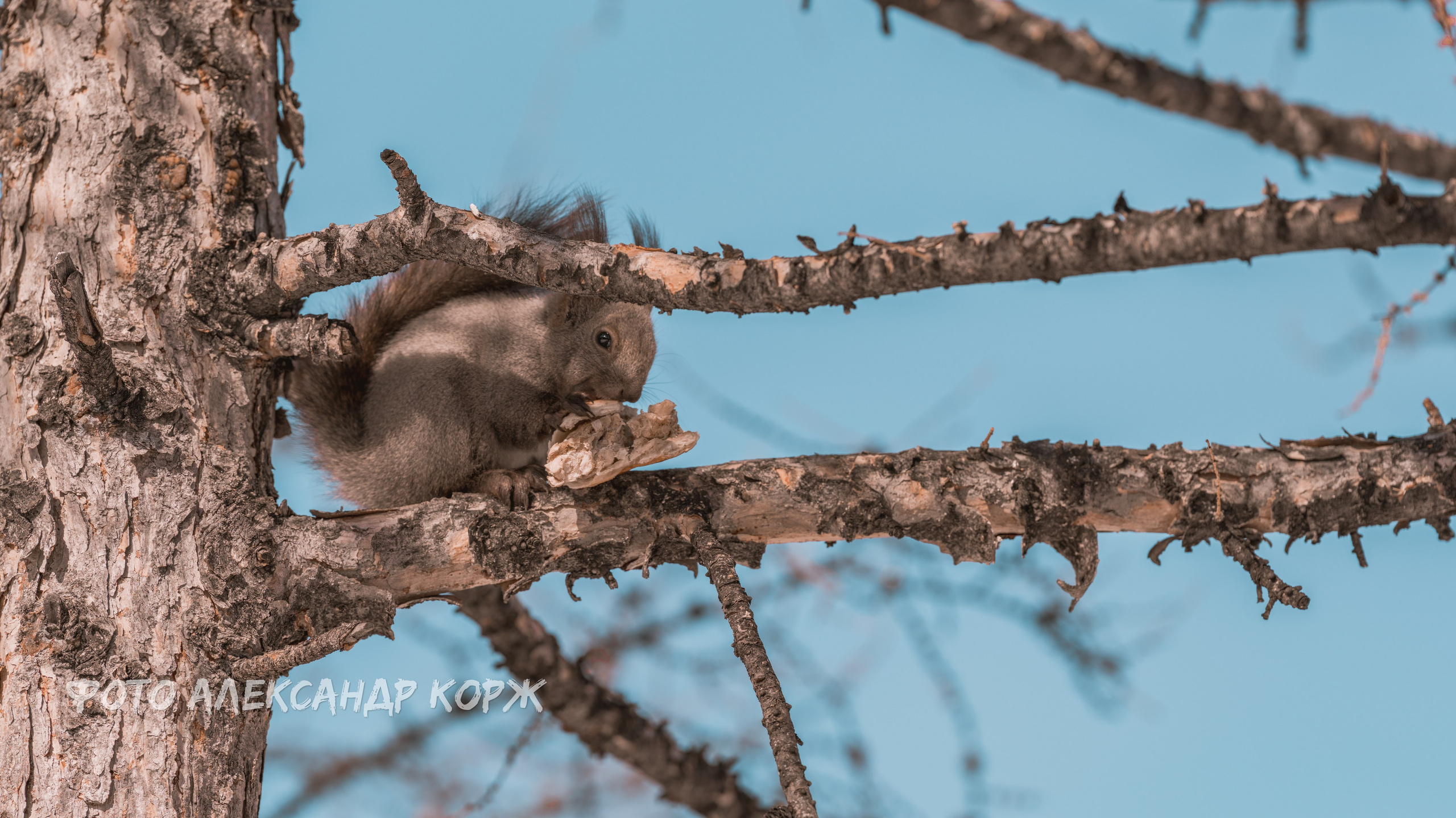 Северный поселок Айхал. Фотографии и видеосъемка, Айхал, Удачный, Якутия. Фотографии Айхал