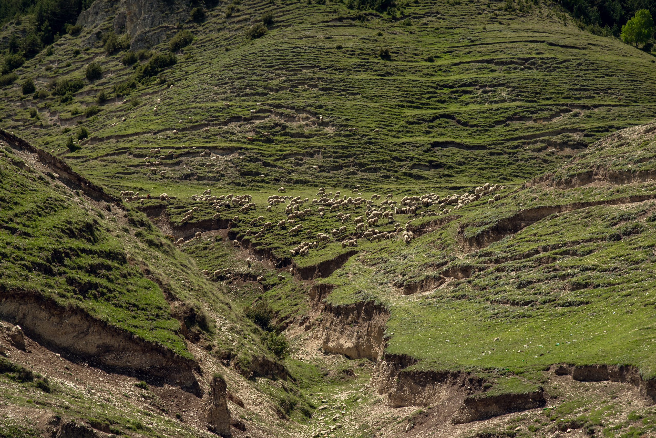 Дагестан. Фотограф Крещение Венчание Москва