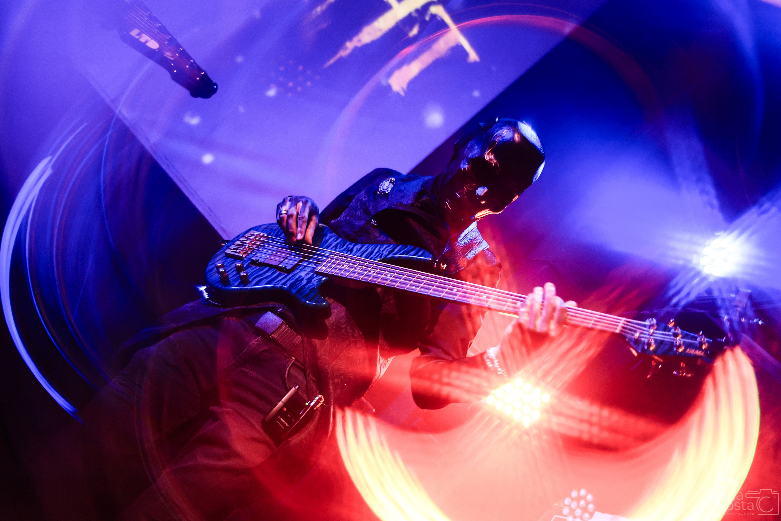 Altersight | Ласточка | СПб. Анна Акоста: фотограф в Санкт-Петербурге и Таганроге