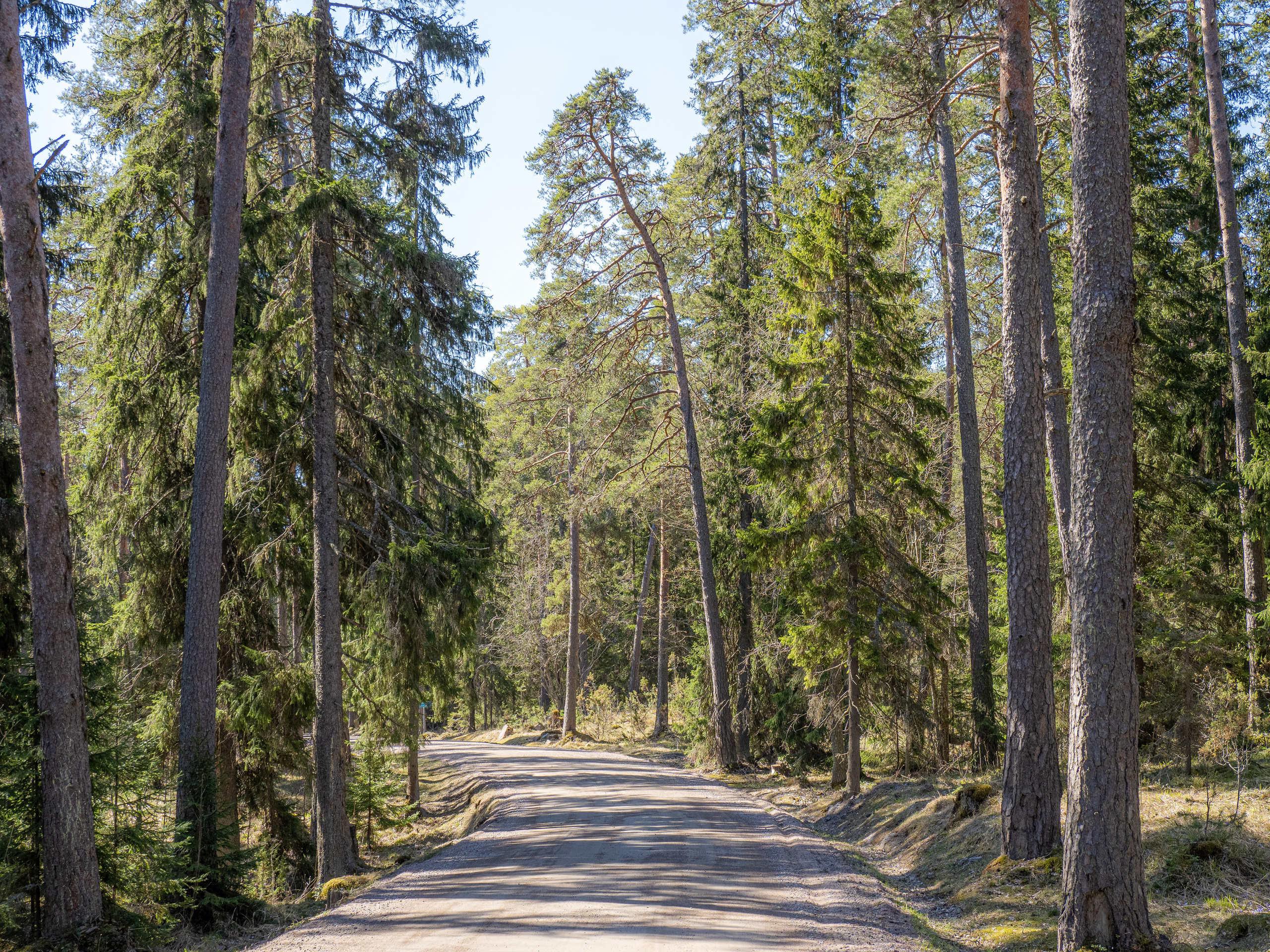 Кронштадт-Сортавала-Валаам-Выборг. Творческие сьемки