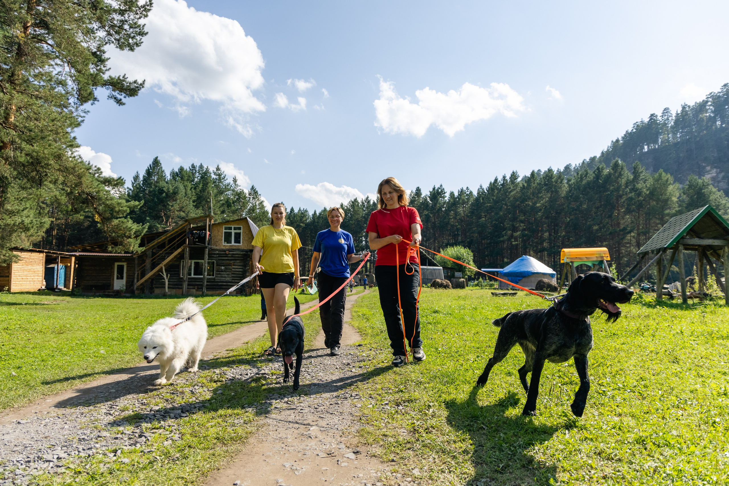 VI ОТКРЫТЫЕ КИНОЛОГИЧЕСКИЕ СОРЕВНОВАНИЯ. ЧЕЛЯБИНСКАЯ ОБЛАСТЬ 2025. Репортажный фотограф Наталья Лапцевич