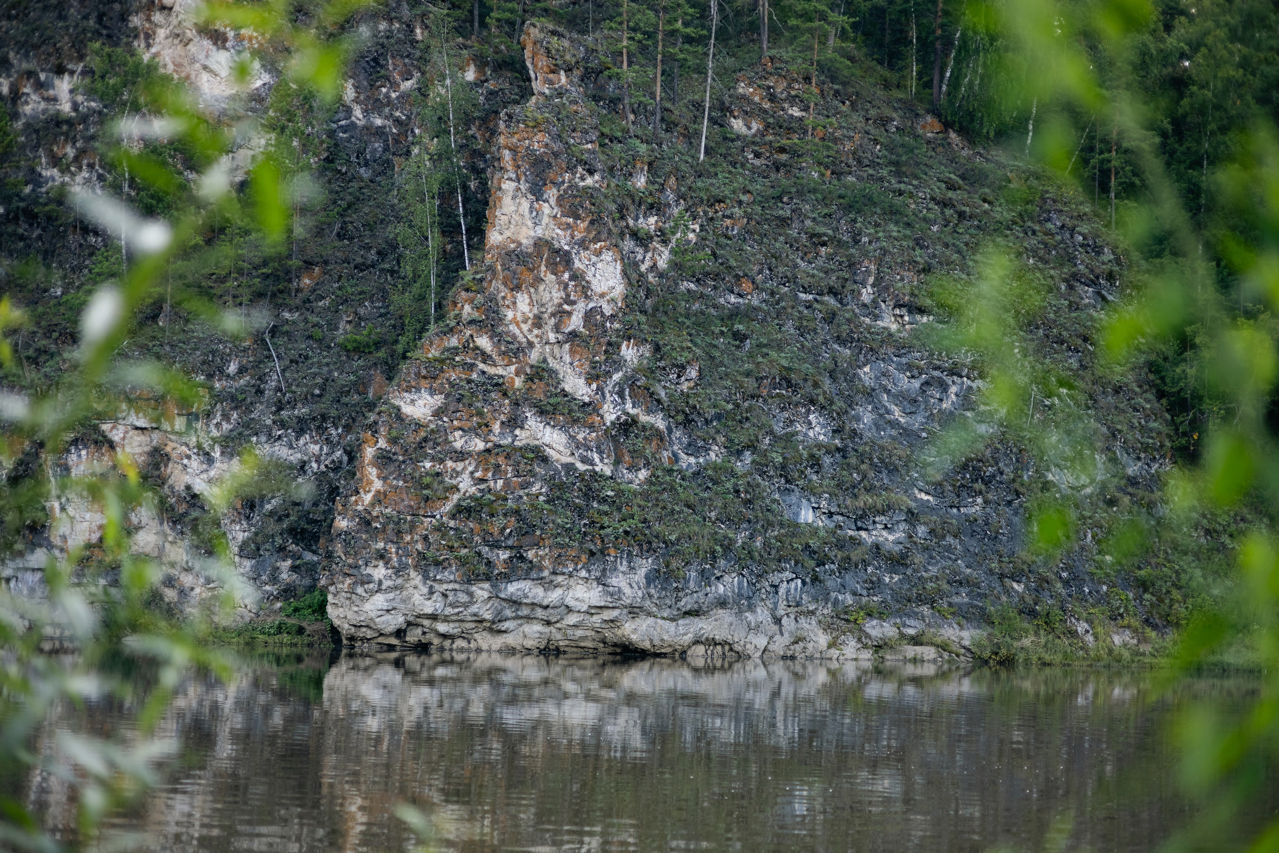 VI ОТКРЫТЫЕ КИНОЛОГИЧЕСКИЕ СОРЕВНОВАНИЯ. ЧЕЛЯБИНСКАЯ ОБЛАСТЬ 2025. Репортажный фотограф Наталья Лапцевич