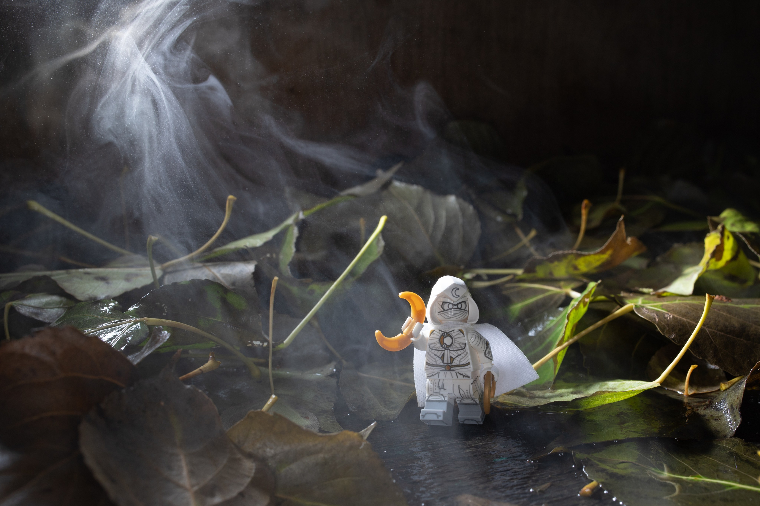 Фотографии приключений Джека от Виктор Степанов. Фотограф Виктор Степанов