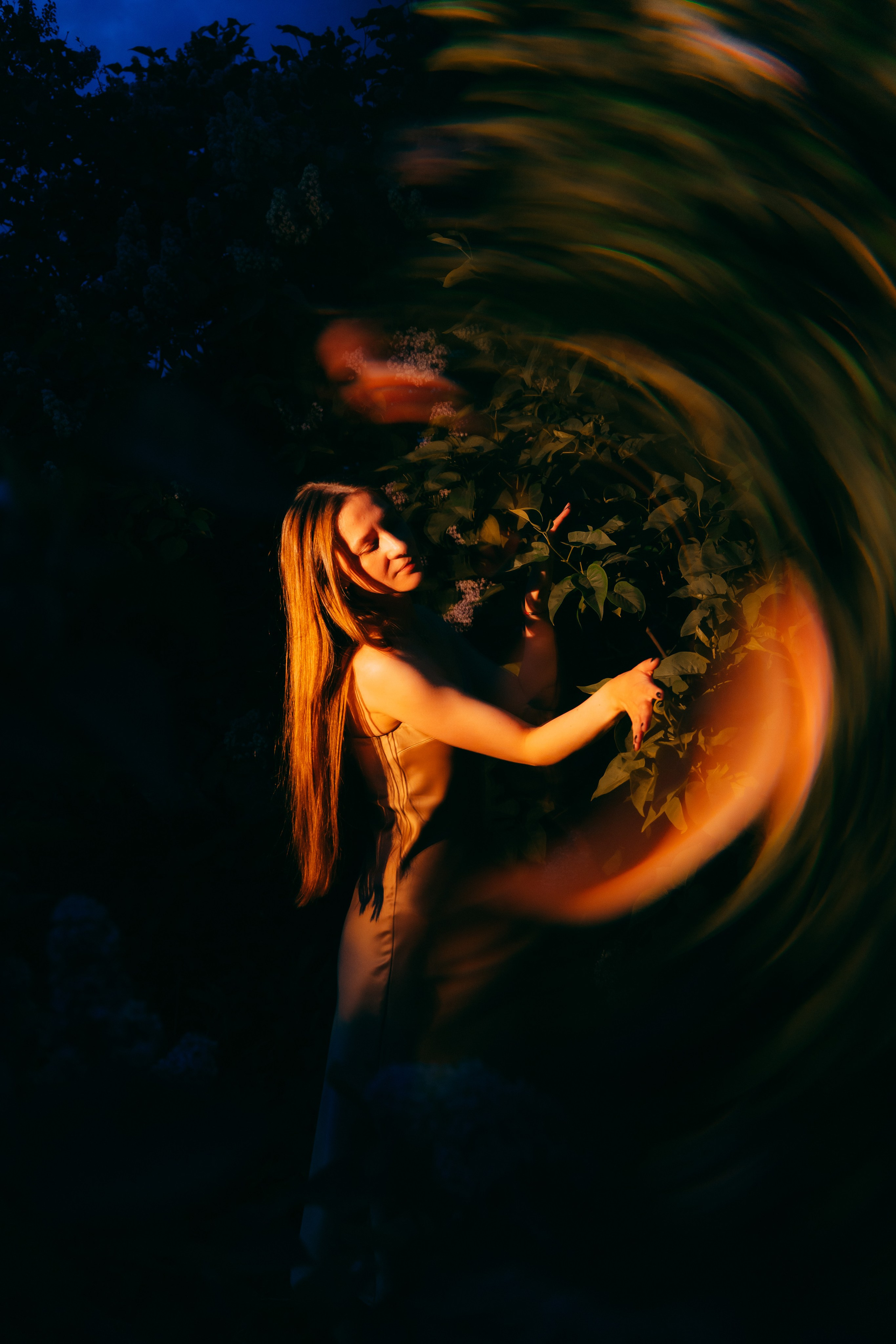 Сиреневый сад. Фотограф Москва