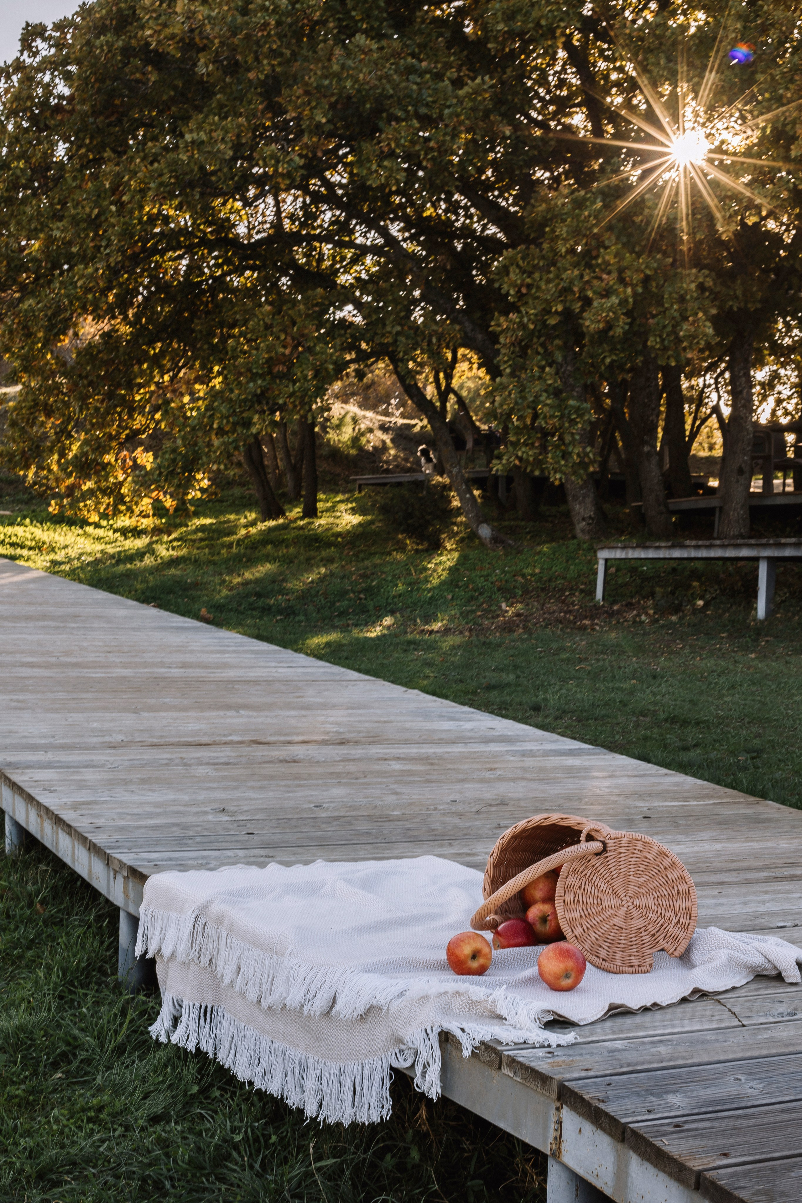 Семейная история. Фотограф Анна Лейман. Севастополь