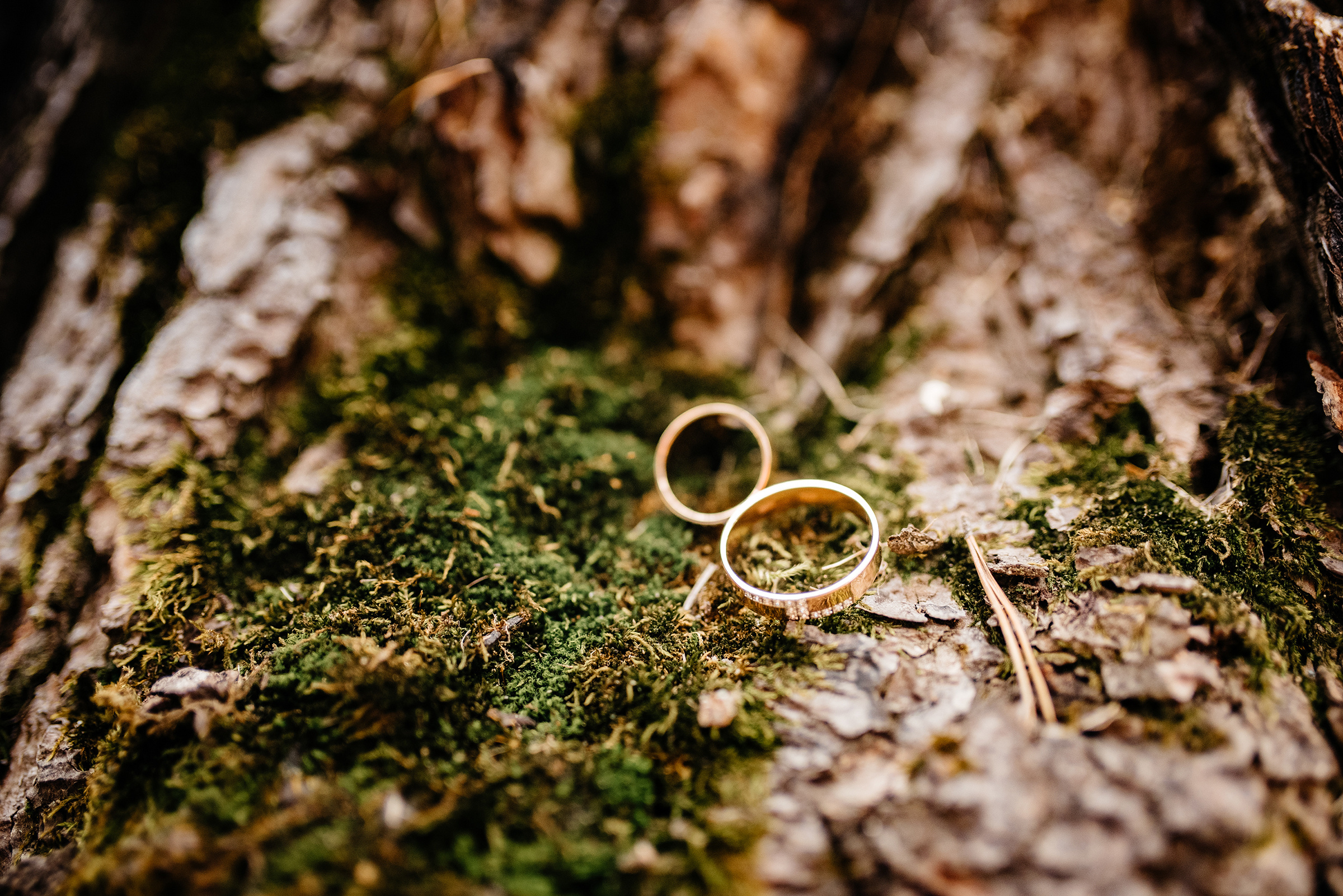 Love story Катя и Артем. Свадебная  съемка на Алтае