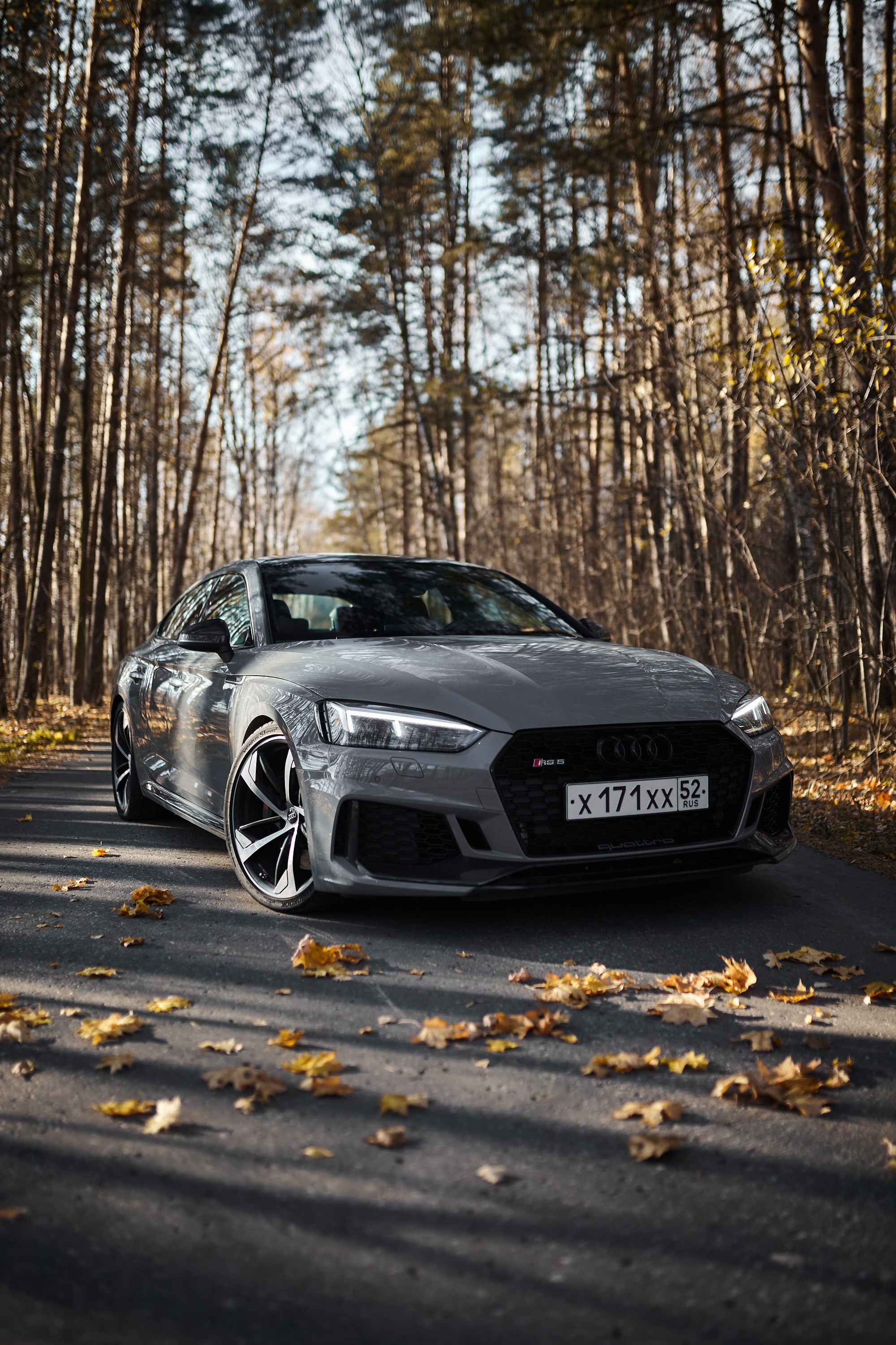 Audi RS5. DKARPOCHEVA PHOTOGRAPHY