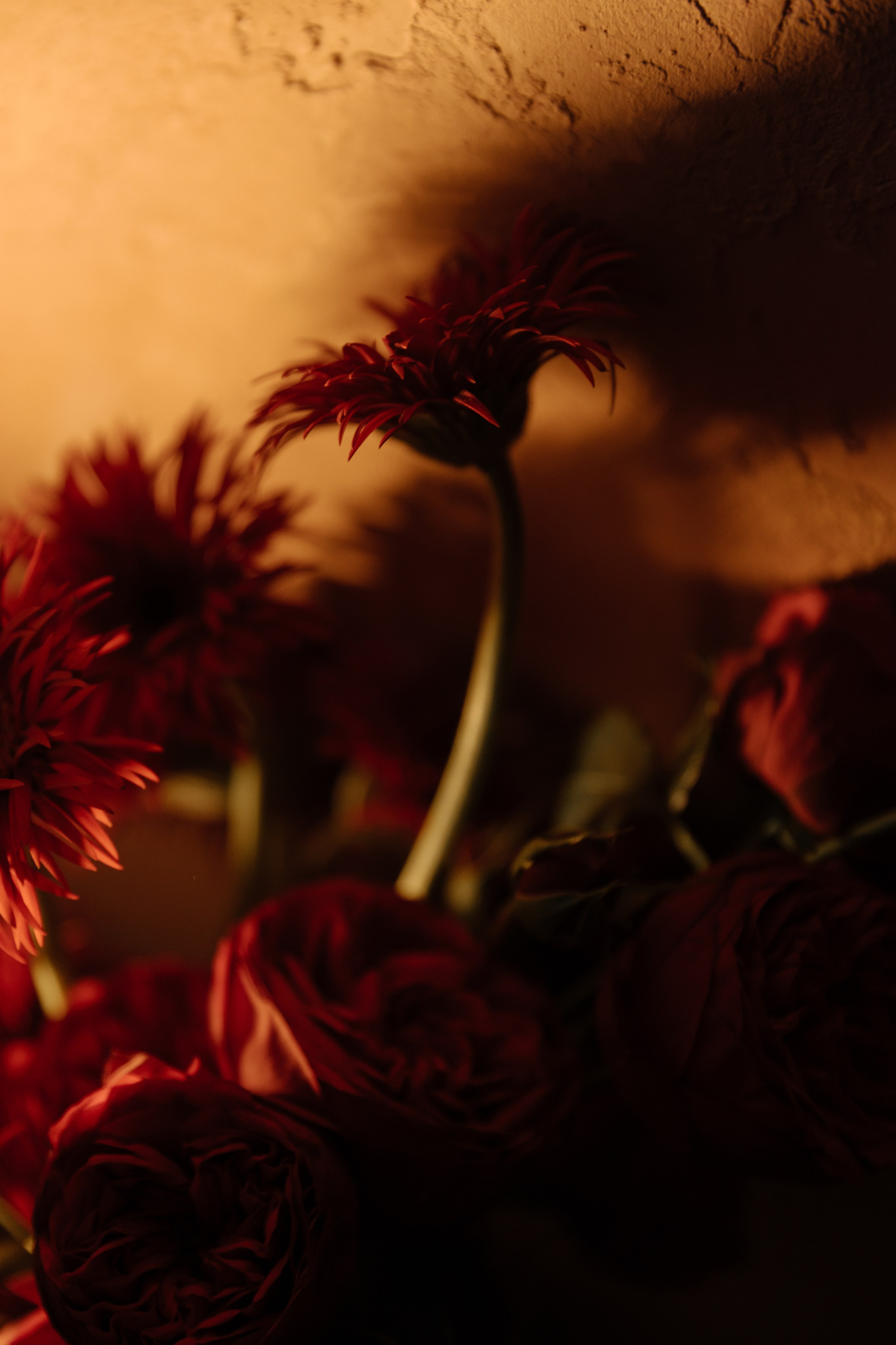 Настя и Паша | 16.08. Портретный и свадебный фотограф в Москве Алина Гевал