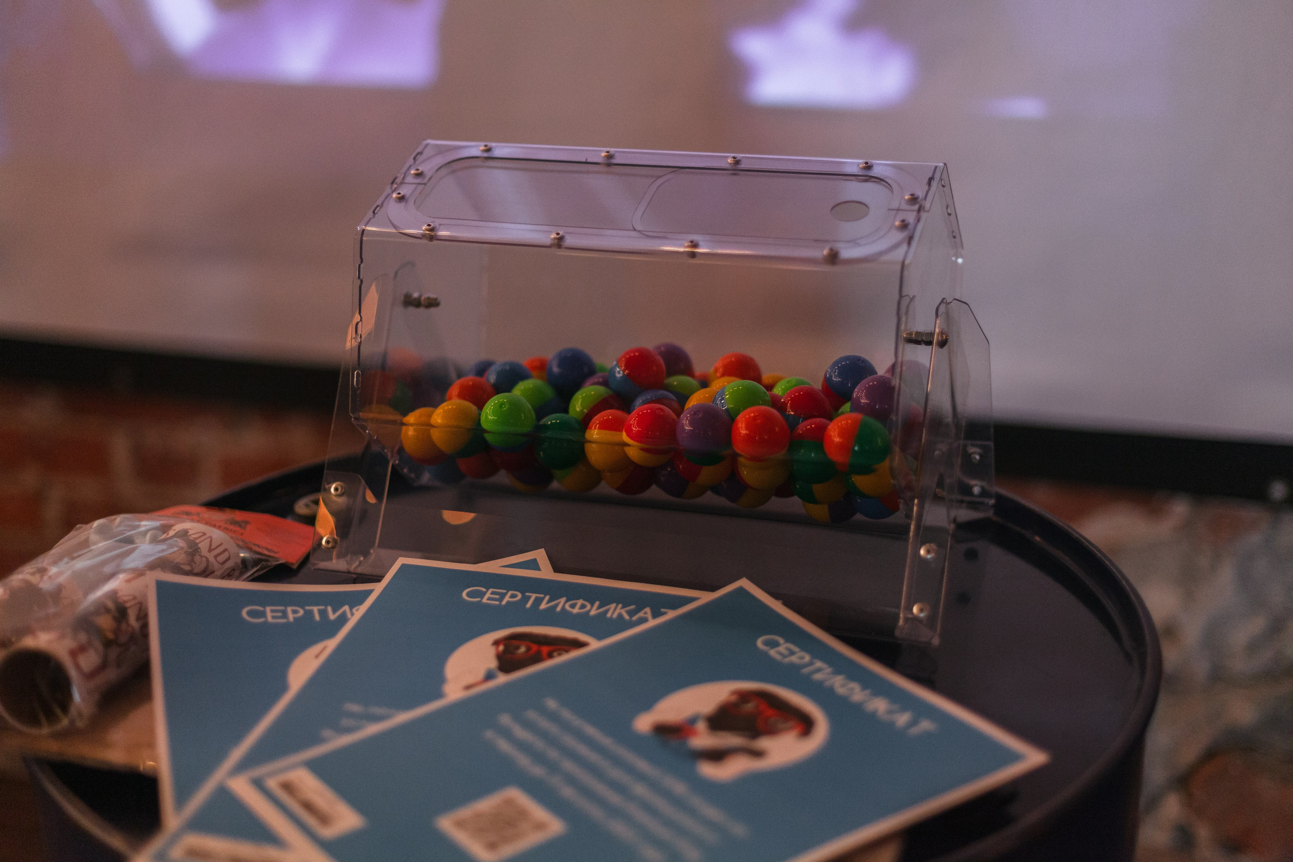 Бульбалл 23.04.2023. Фотограф-анималист Татьяна Степанова