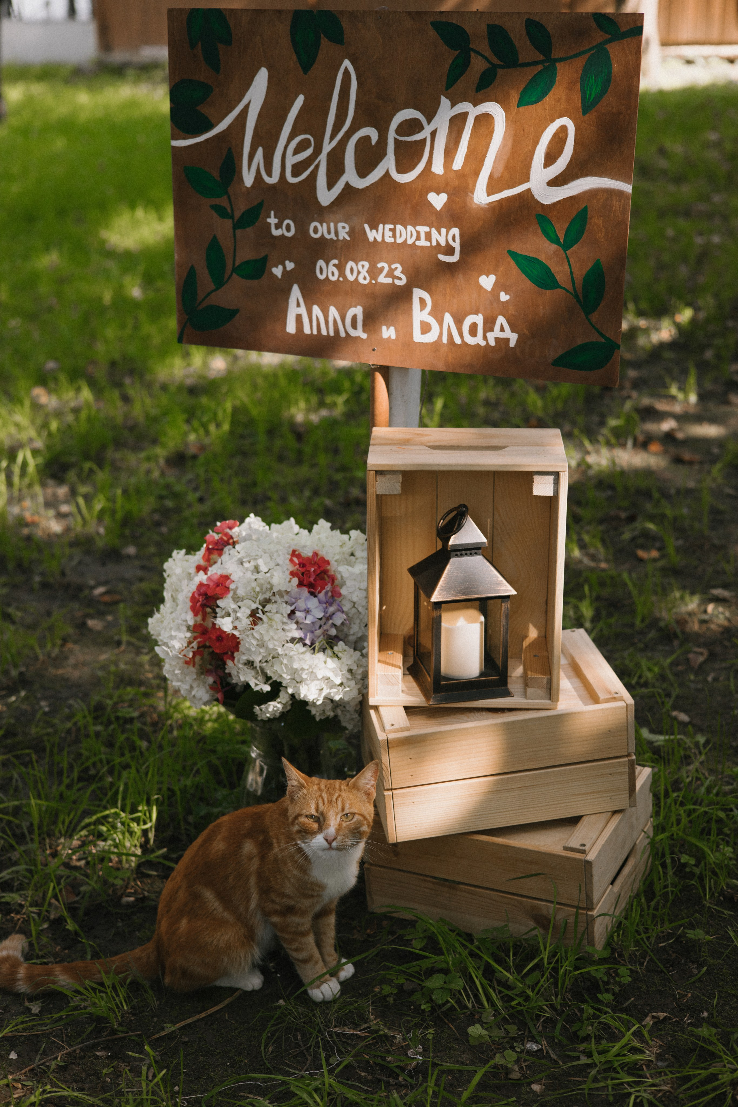 32 человека и 1 кот. Свадебный и семейный фотограф в Санкт-Петербурге и Москве