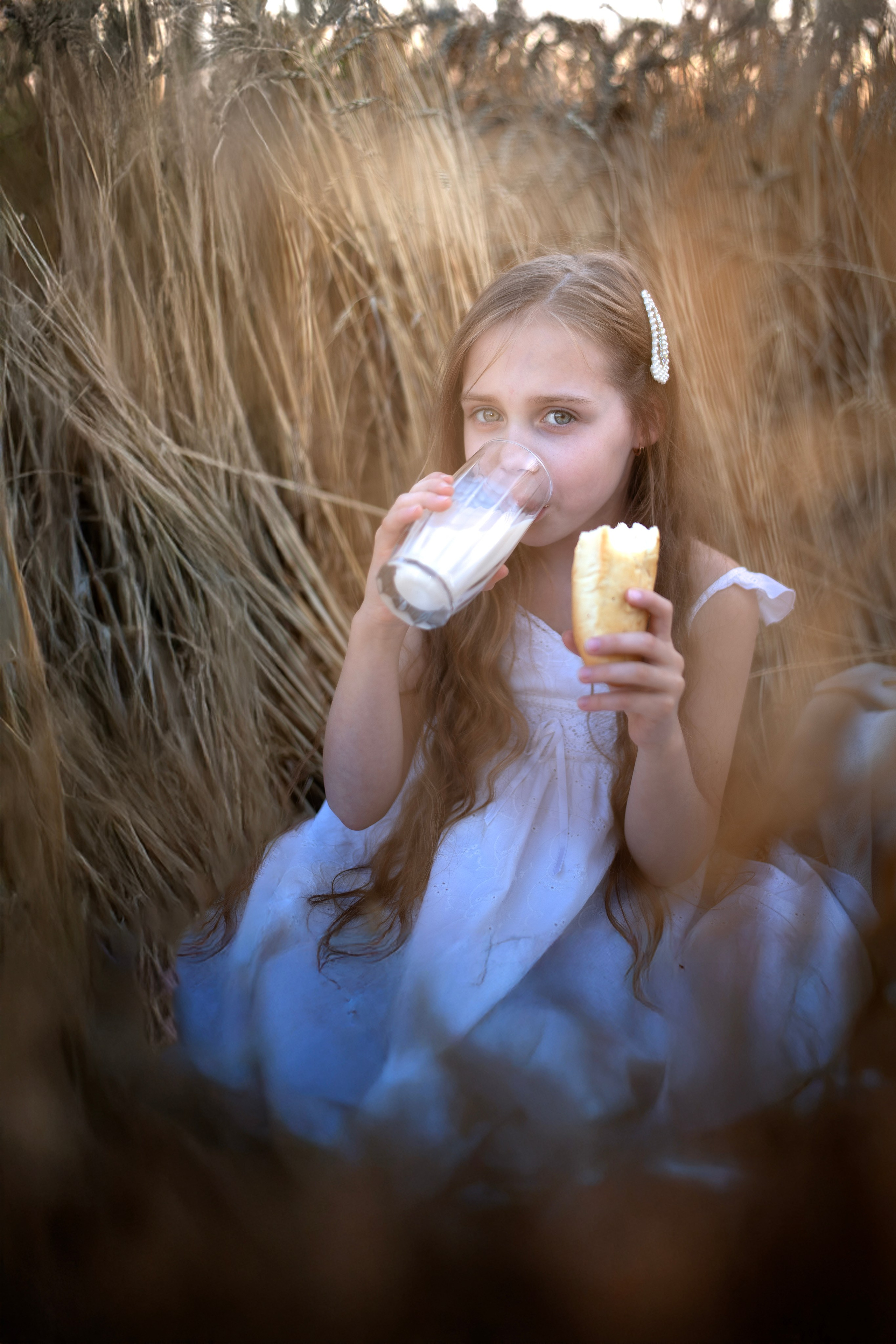 Пшеница. Главная