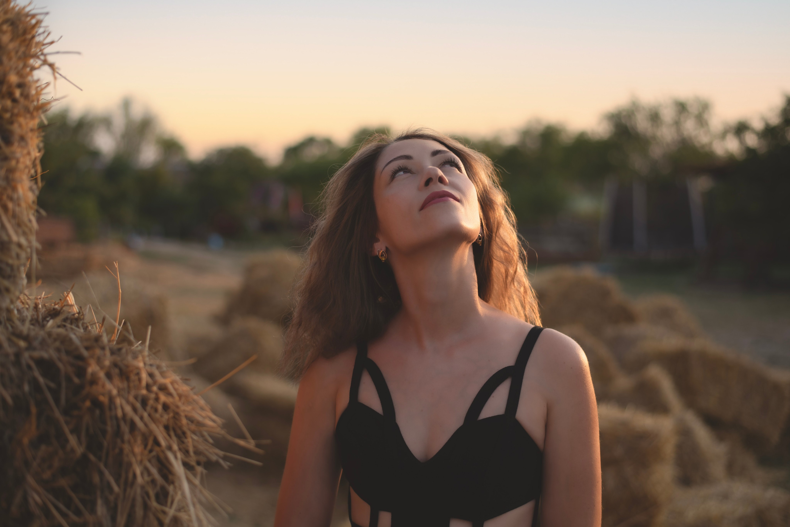 Леди и лошадь. Главная