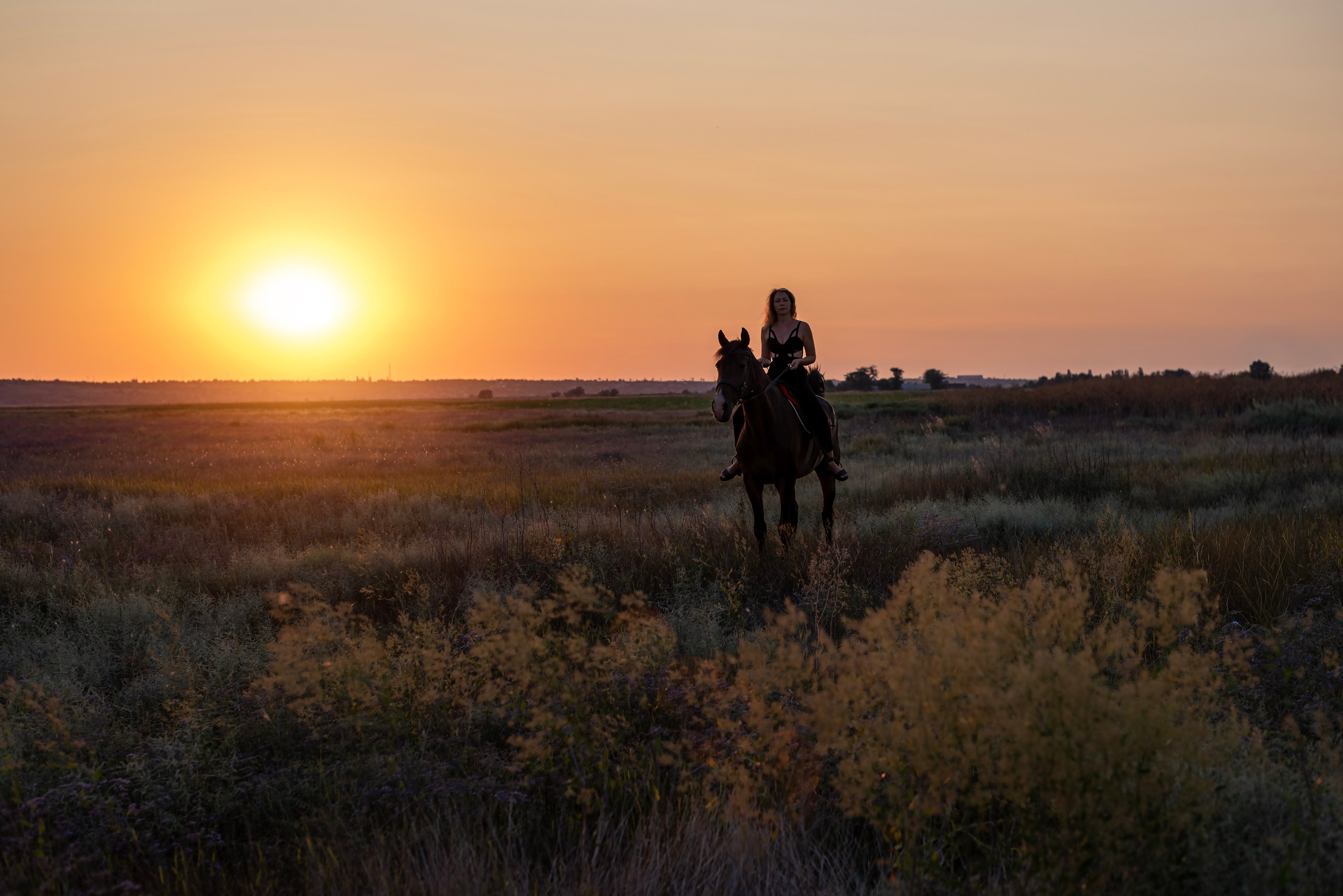 Леди и лошадь. Главная