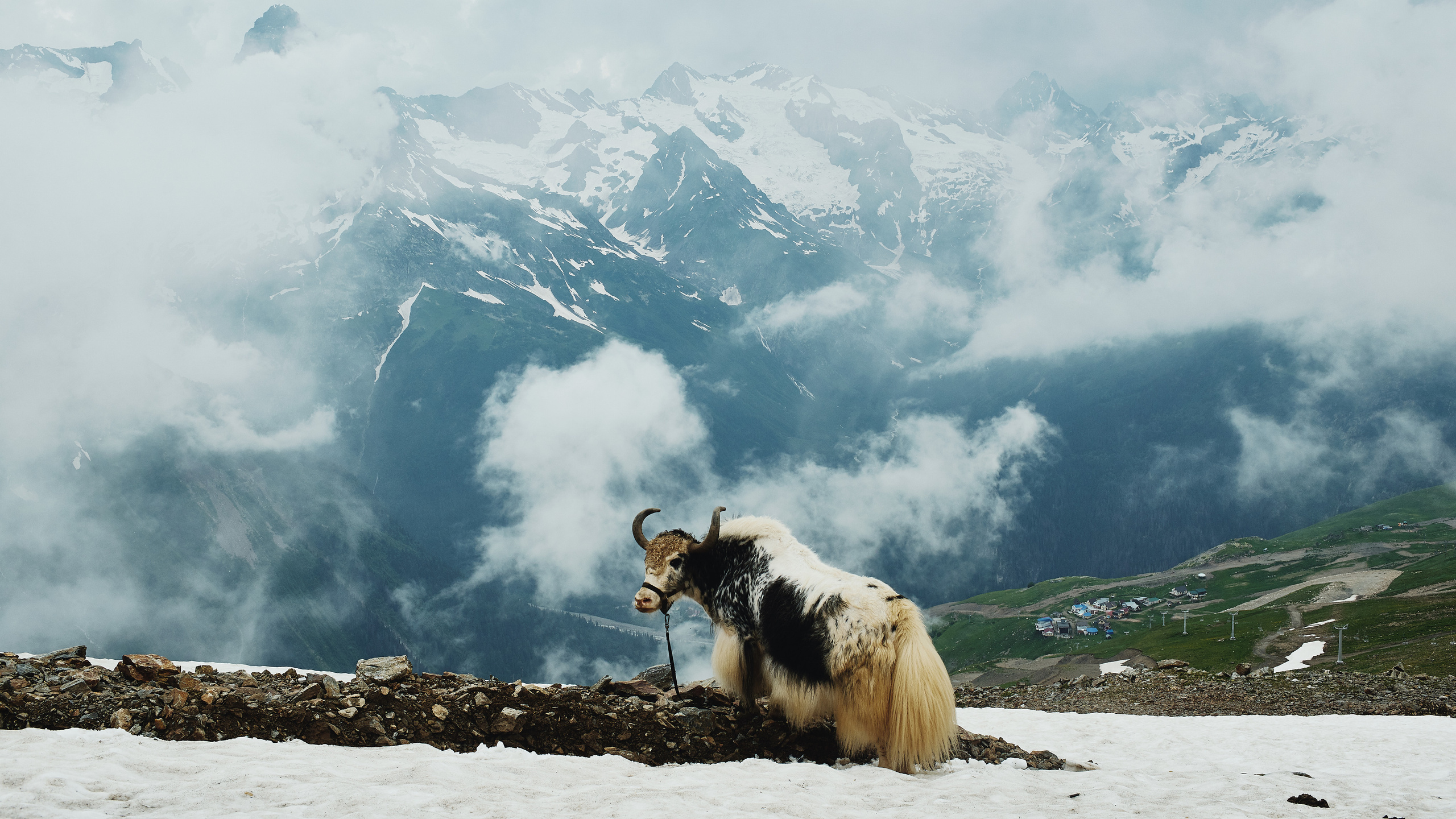 Фотограф Наиль Забайдуллин