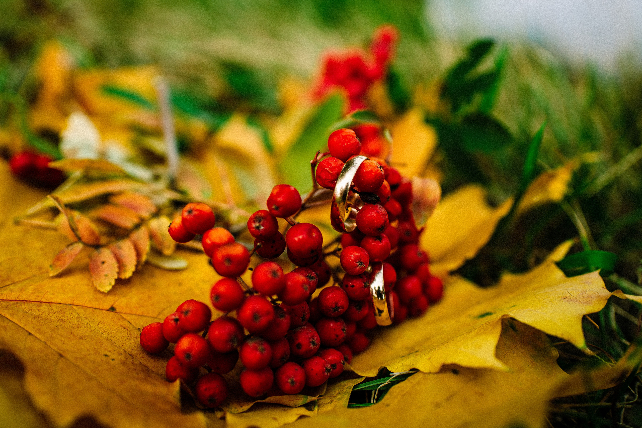 Свадебный фотограф — фотограф на свадьбу в Воронеже — Свадебное фото